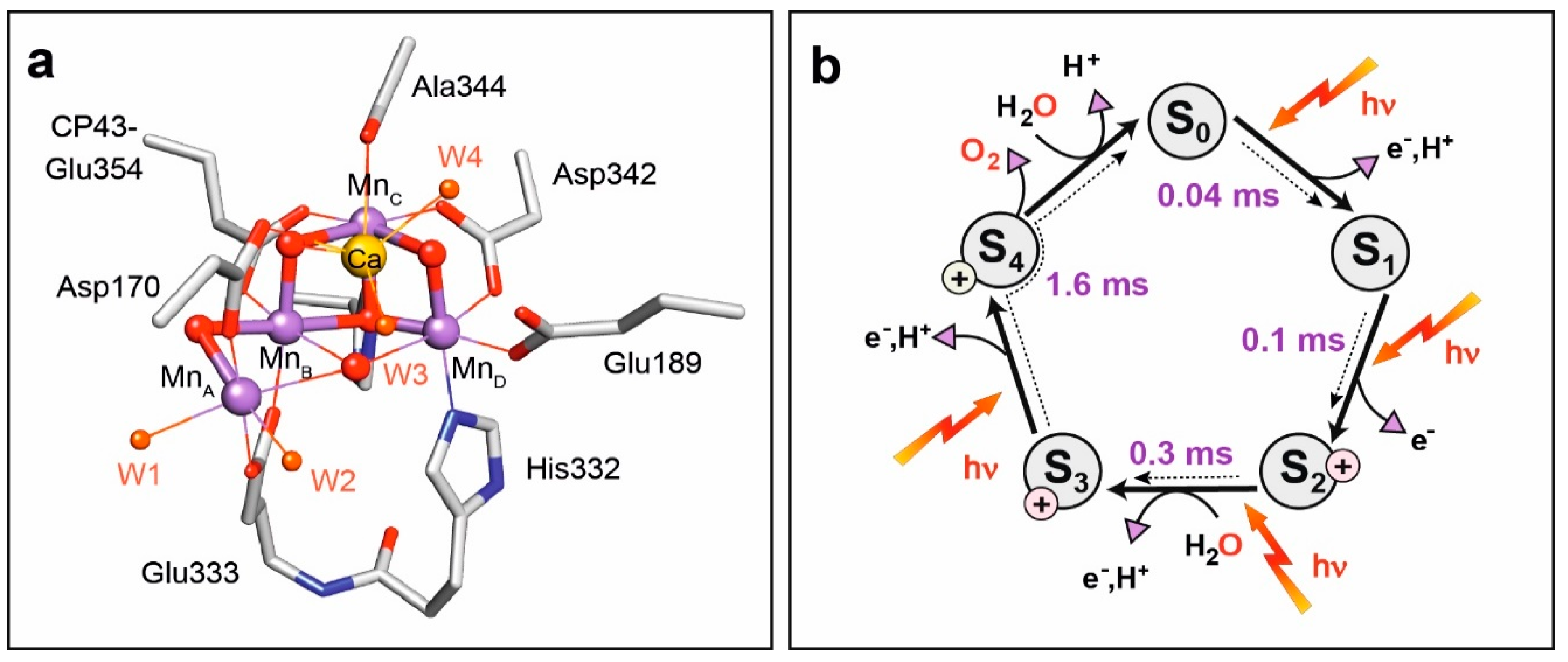 Shel Pake Bf Xxx - Magnetochemistry | Free Full-Text | Biomolecular EPR Meets NMR at ...