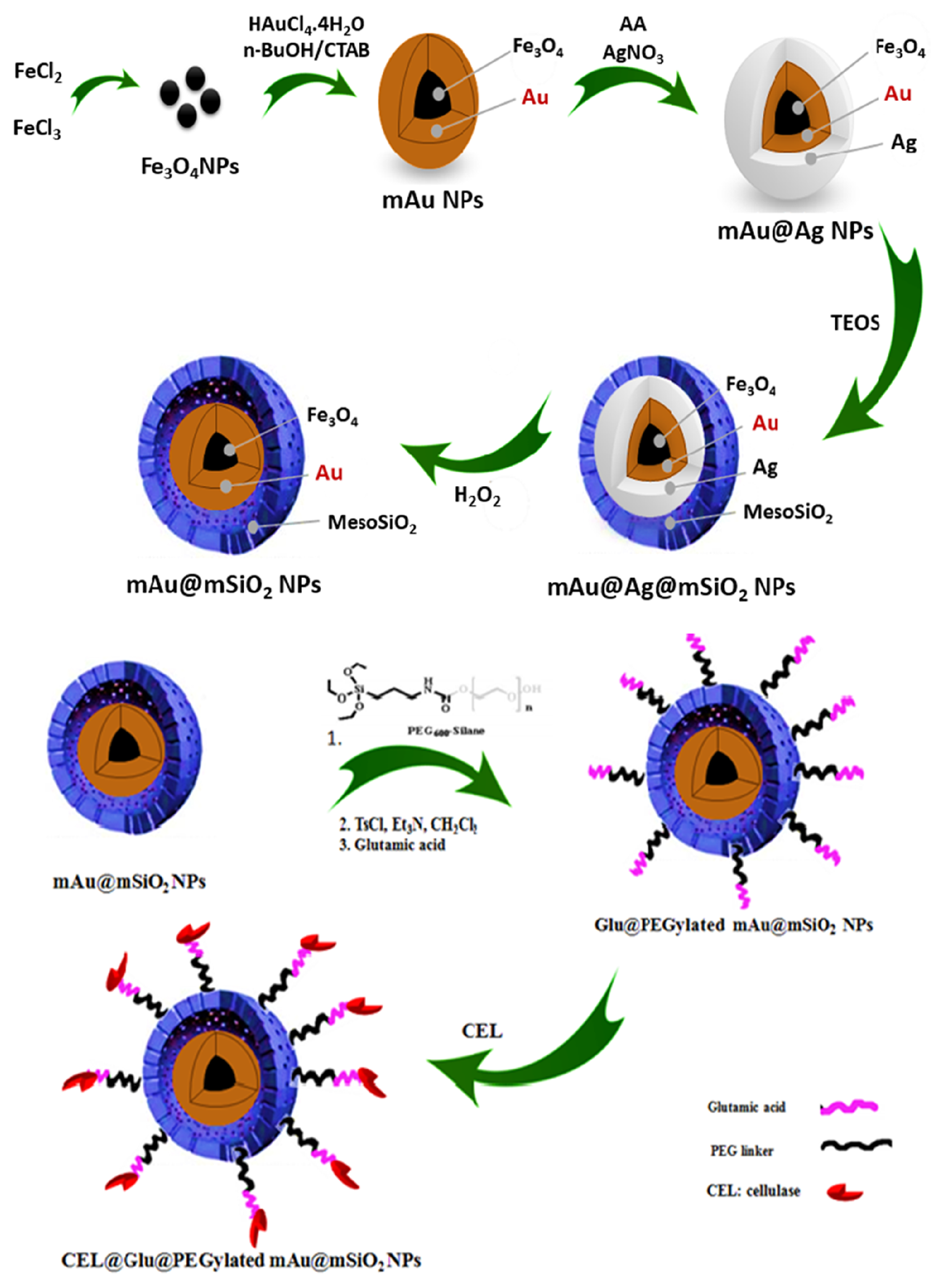 Magnetochemistry 05 00036 sch007