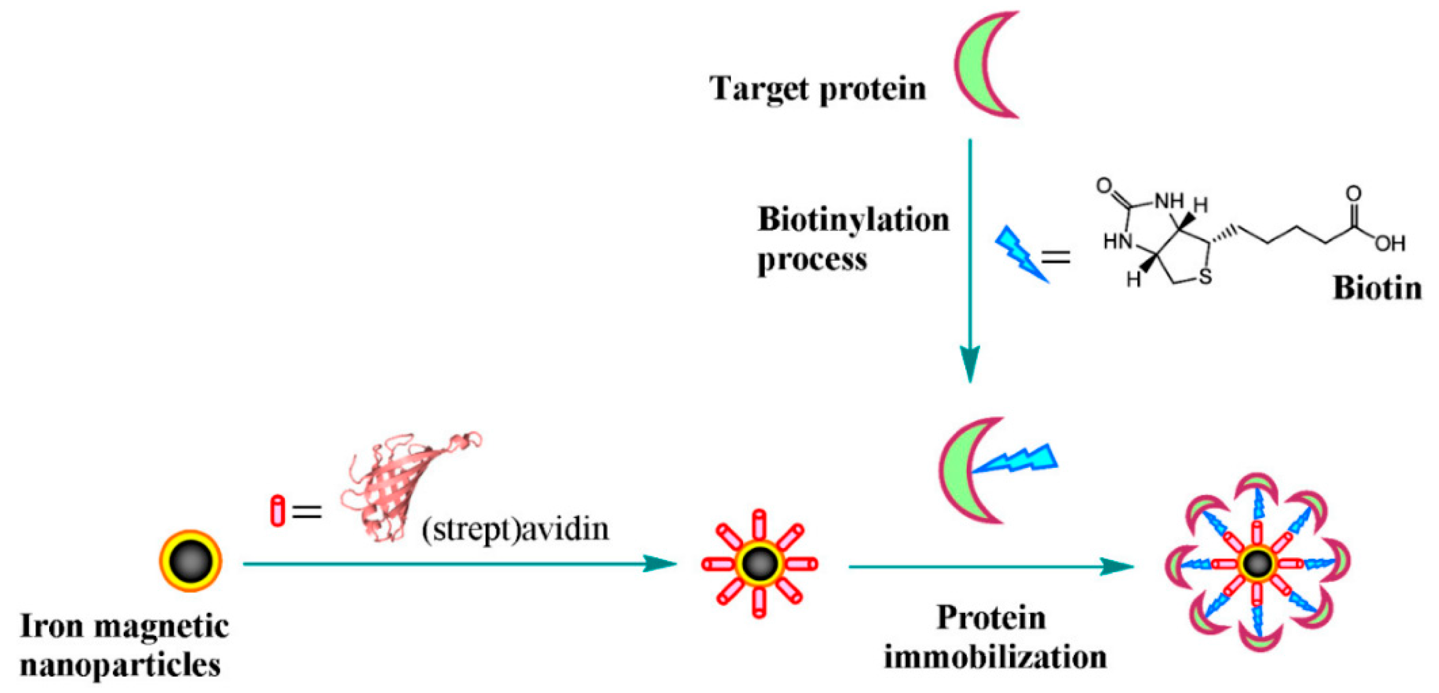 Magnetochemistry 05 00063 g003