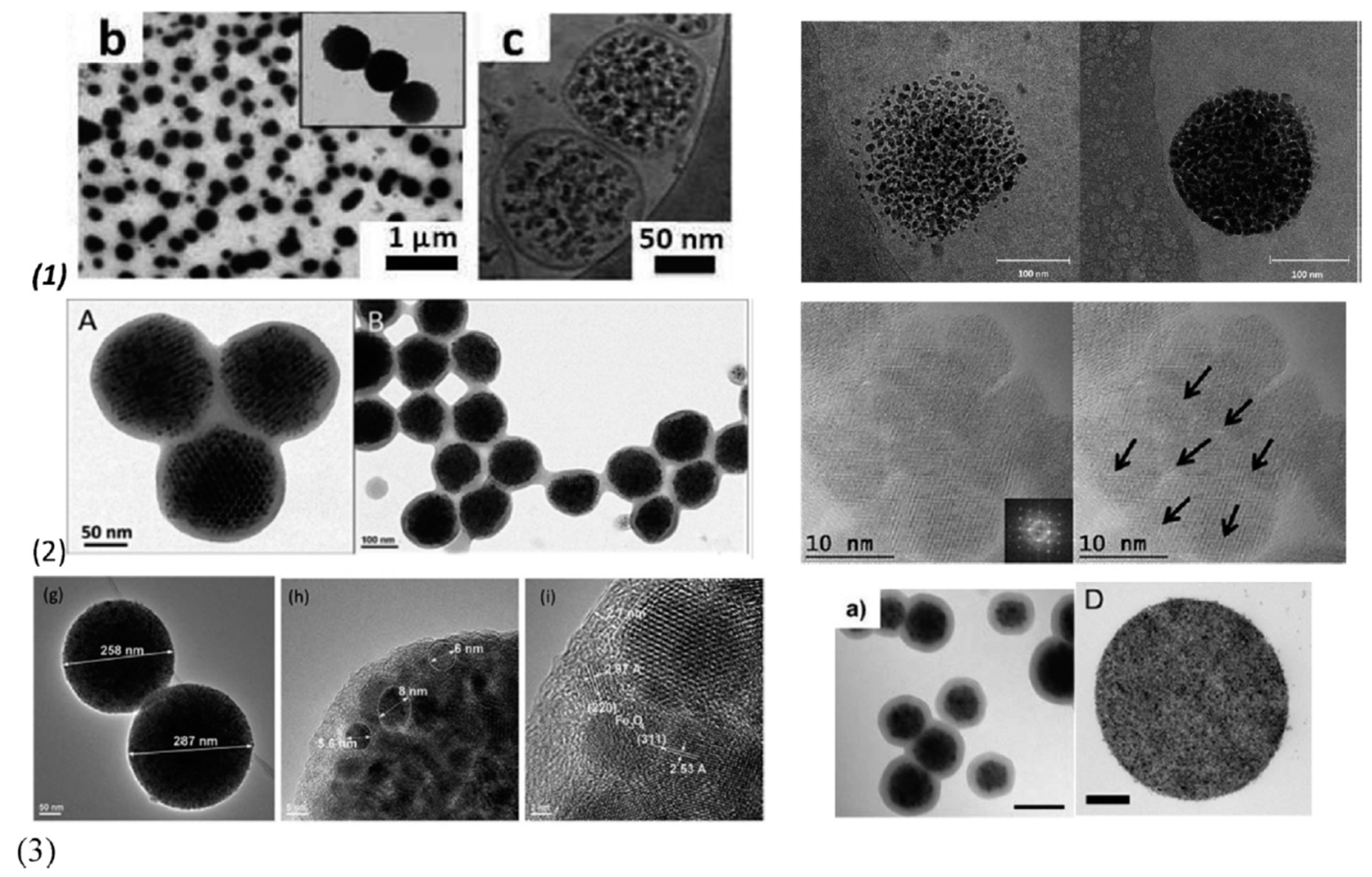 Magnetochemistry | Free Full-Text | Magnetic Nanoparticle Systems for  Nanomedicine—A Materials Science Perspective