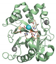 Magnetochemistry 06 00025 i011 Magnetochemistry 06 00025 i011