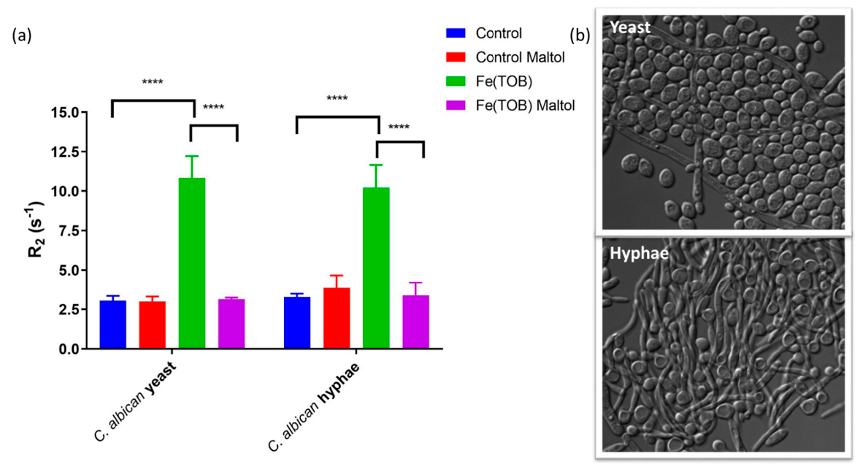 Magnetochemistry 06 00041 g005 Magnetochemistry 06 00041 g005