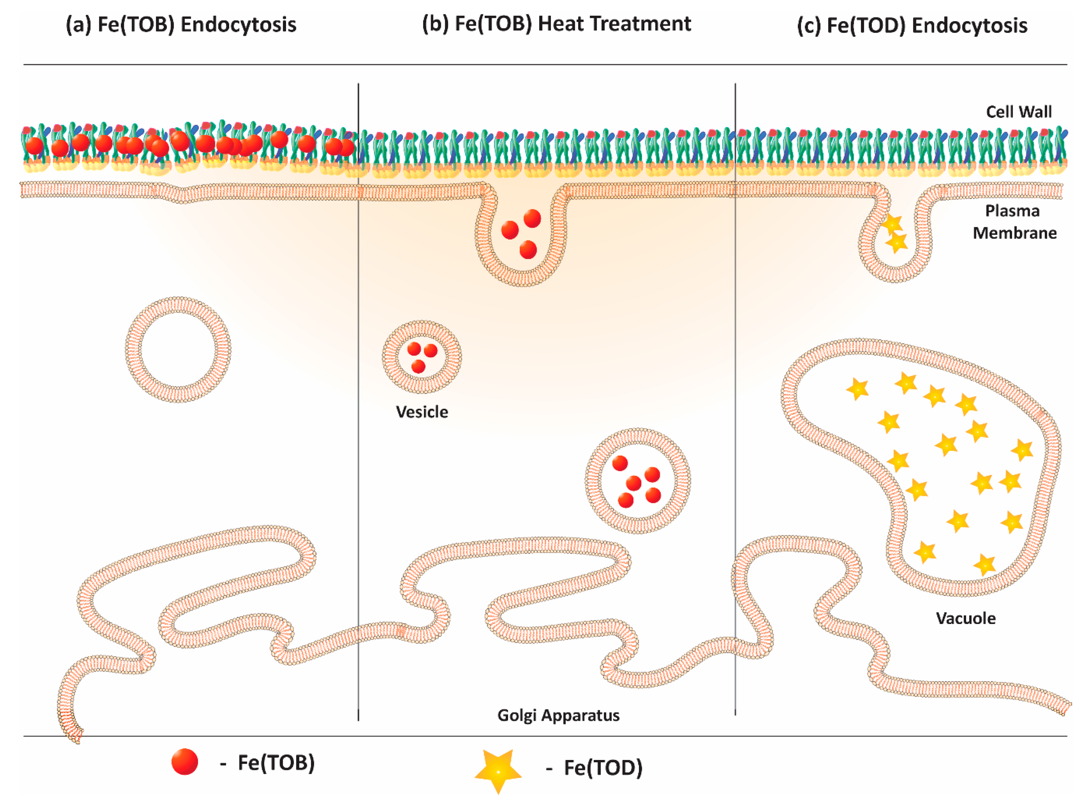Magnetochemistry 06 00041 g007 Magnetochemistry 06 00041 g007