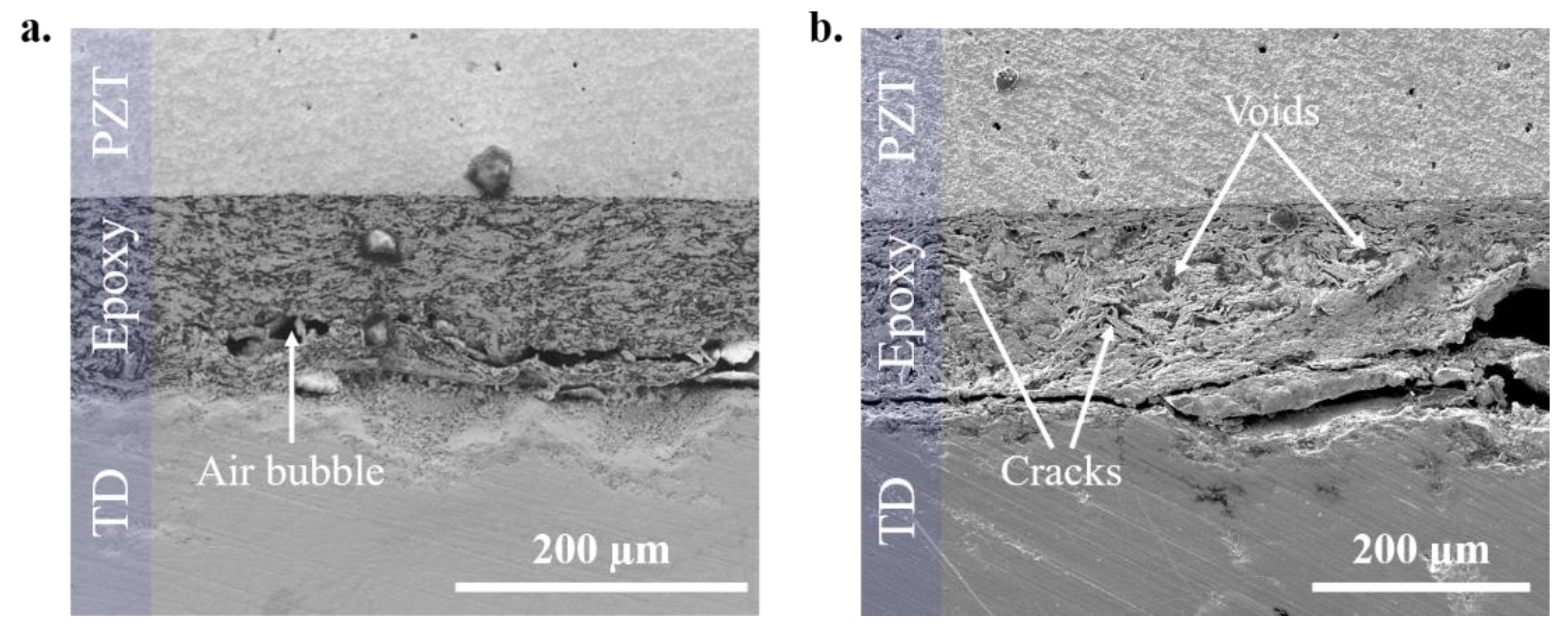 Magnetochemistry 07 00055 g006