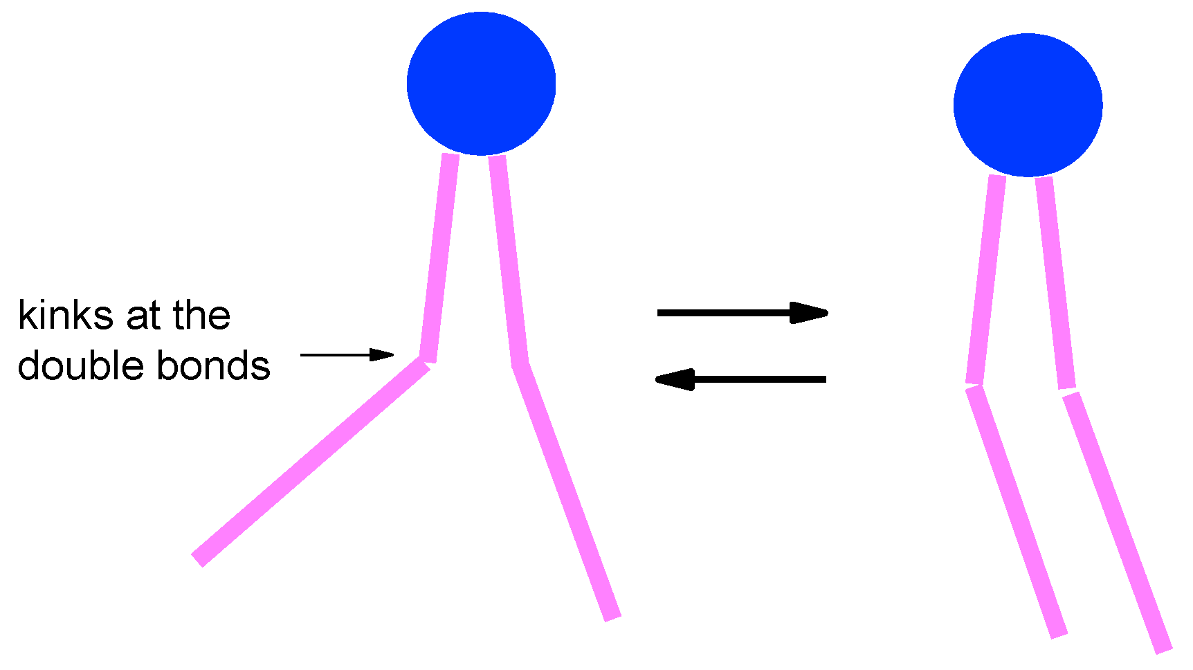 Magnetochemistry 08 00019 g011 Magnetochemistry 08 00019 g011