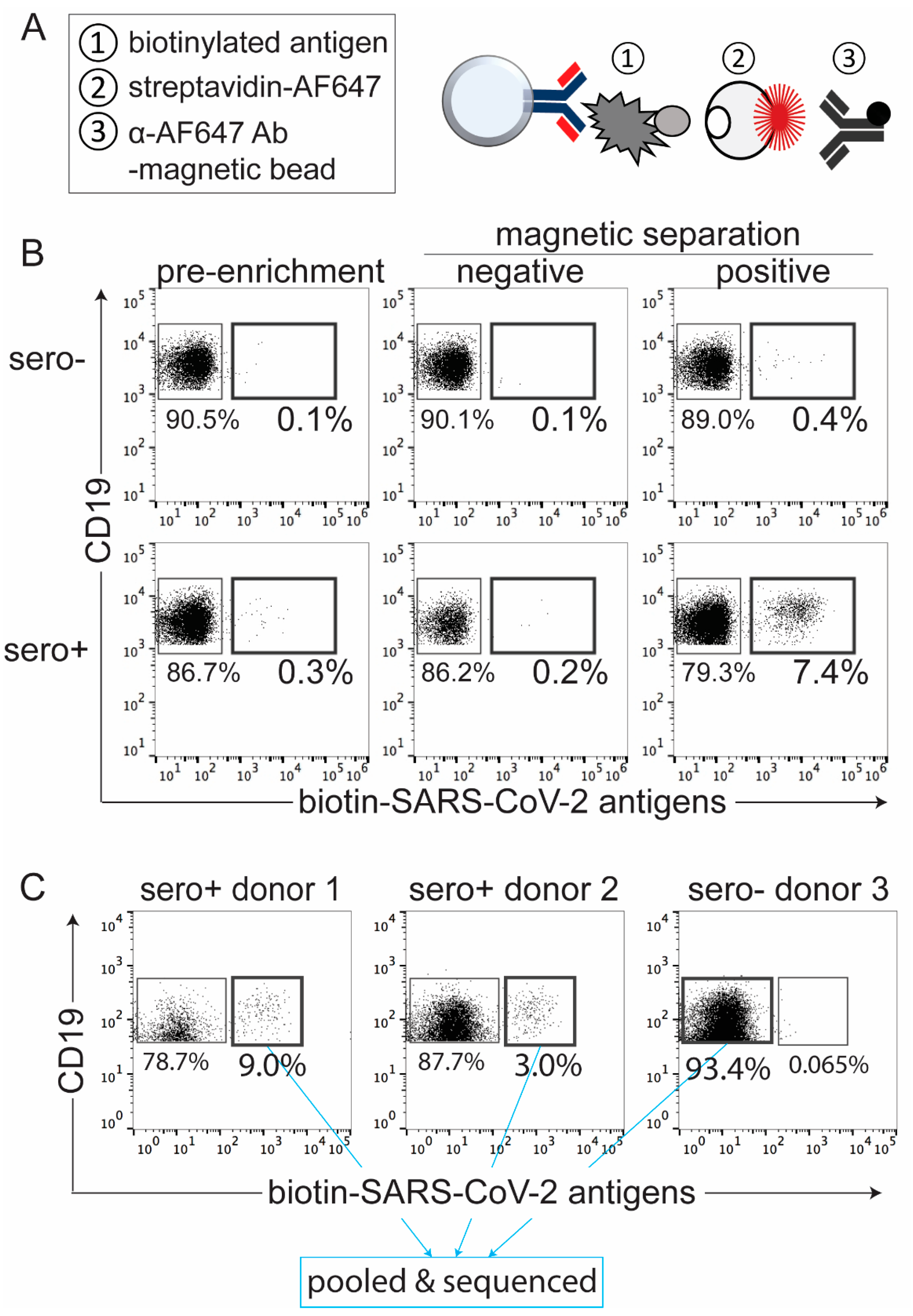 Magnetochemistry | Free Full-Text | Magnetic Enrichment of SARS-CoV-2  Antigen-Binding B Cells for Analysis of Transcriptome and Antibody  Repertoire