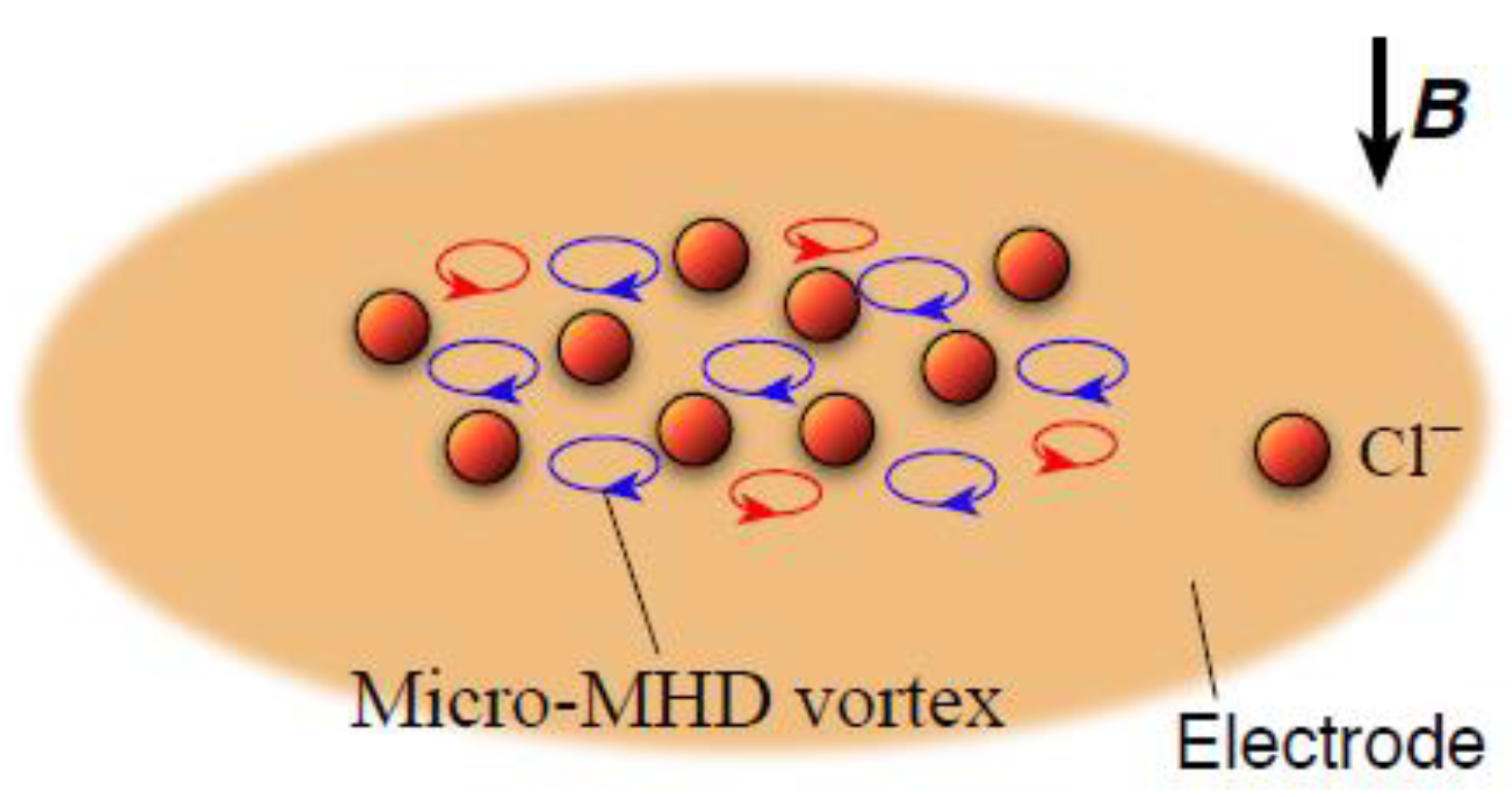 Magnetochemistry 08 00067 g005