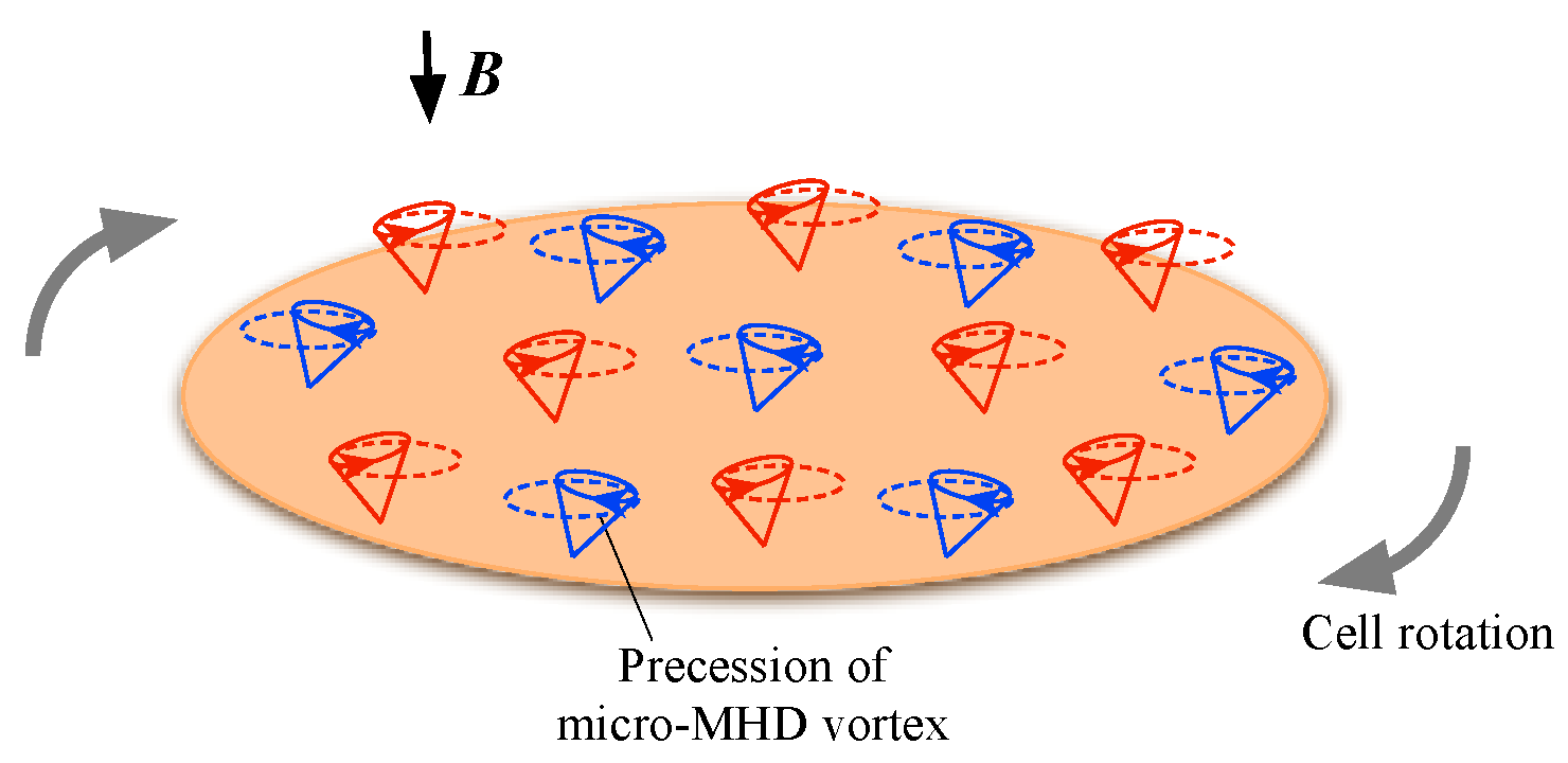 Magnetochemistry 08 00067 g011