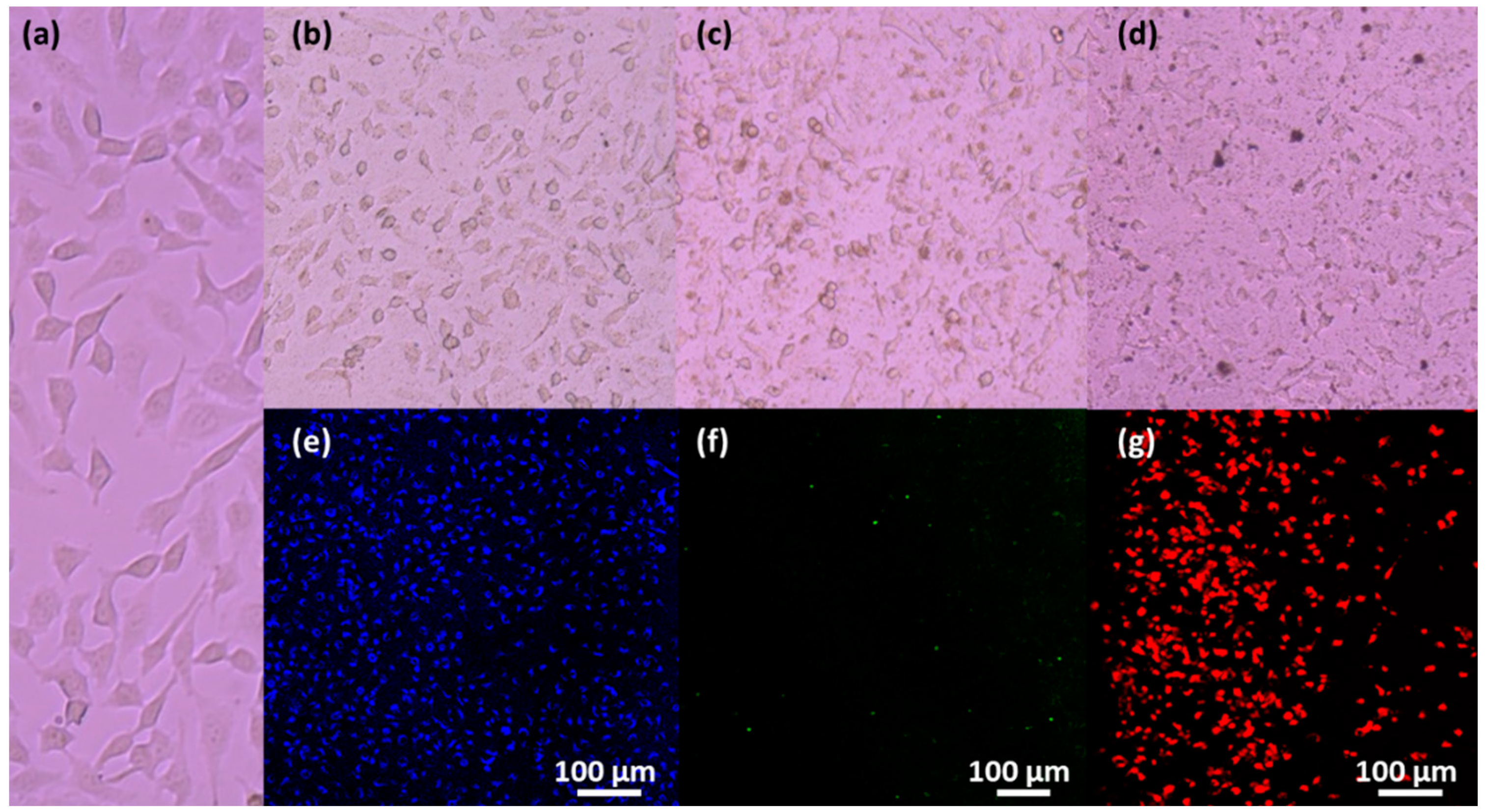 Magnetochemistry 08 00083 g009