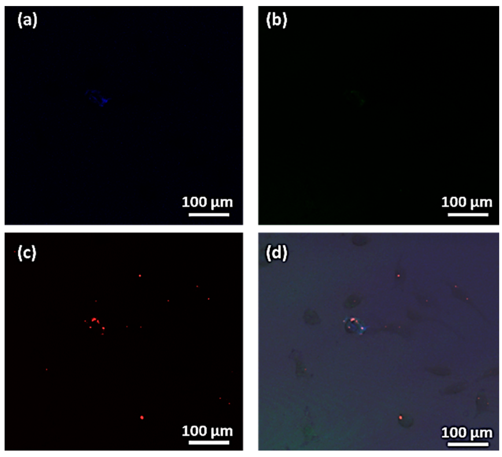 Magnetochemistry 08 00083 g010