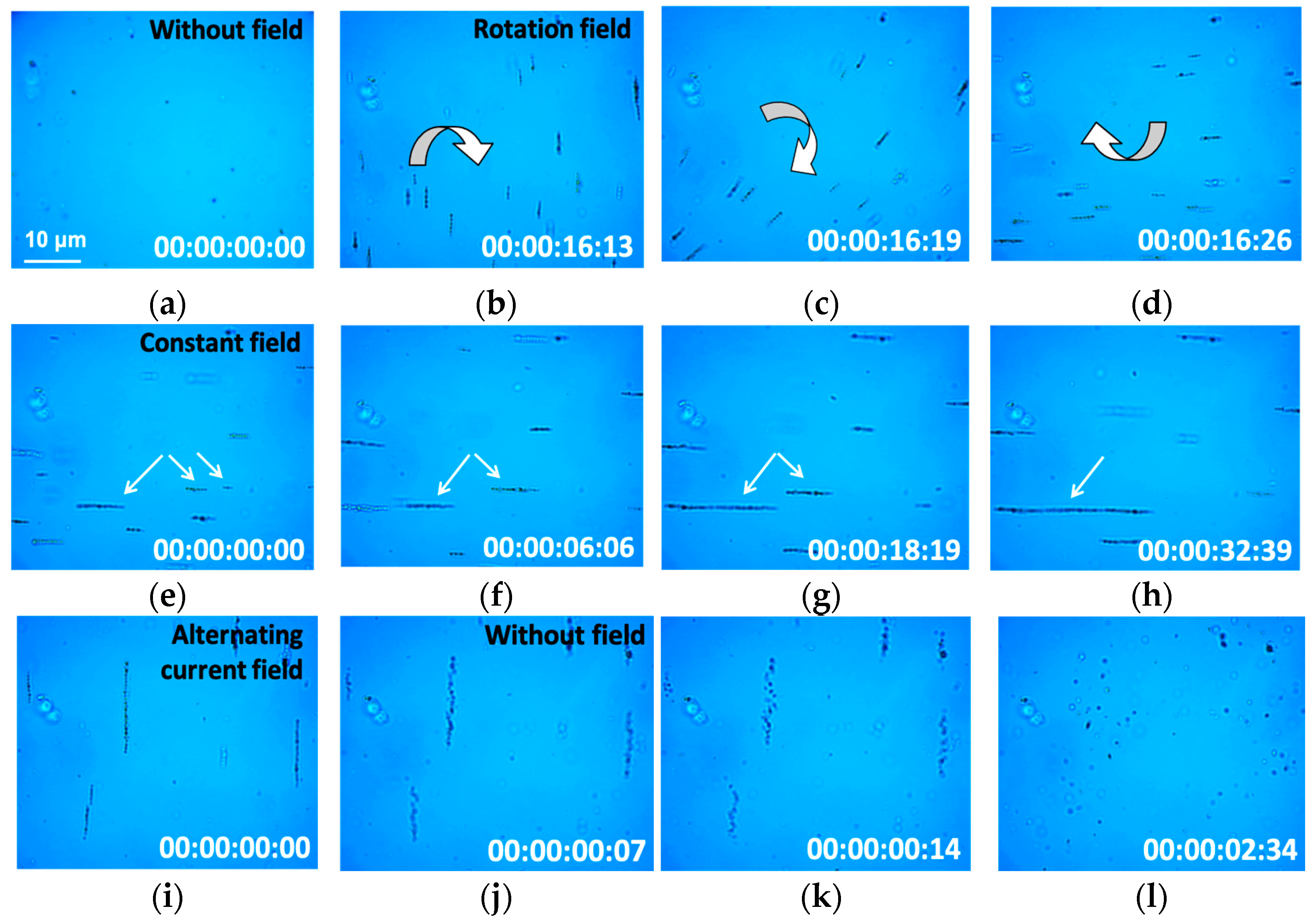 Magnetochemistry 08 00185 g002 Magnetochemistry 08 00185 g002