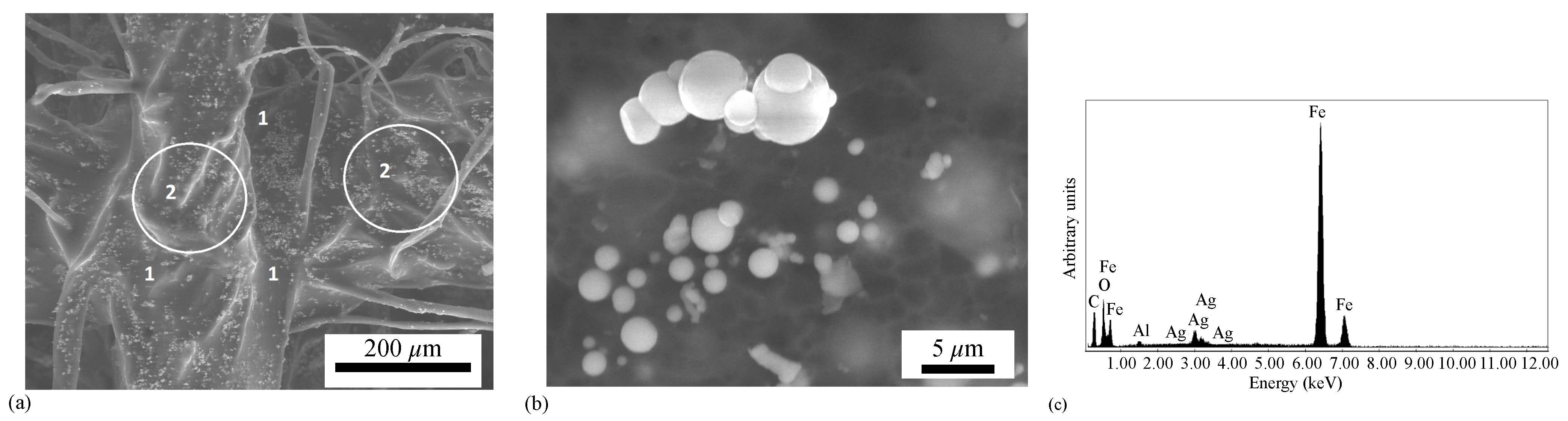 Magnetochemistry 09 00019 g004 Magnetochemistry 09 00019 g004