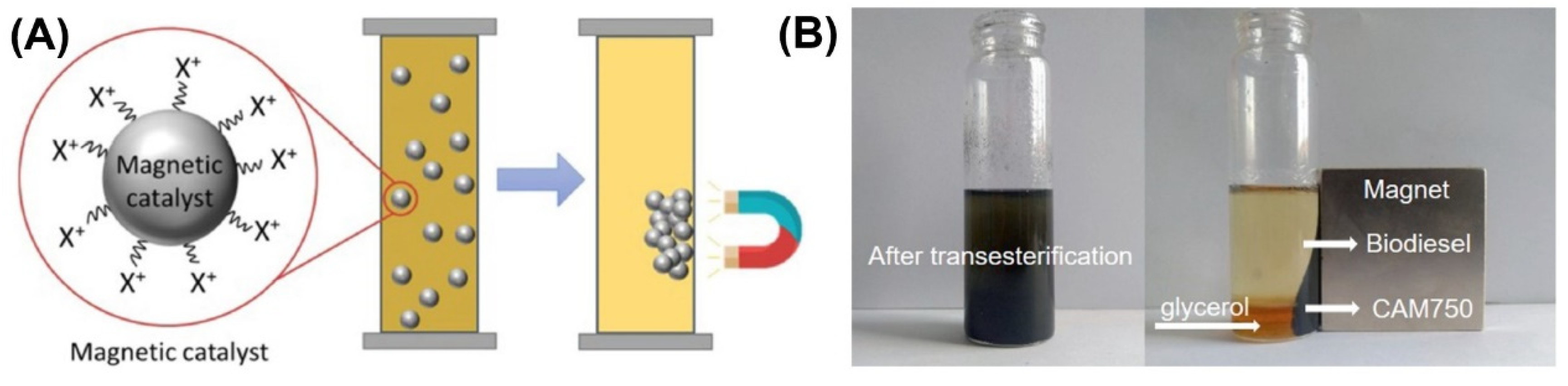 Magnetochemistry 09 00110 g014 Magnetochemistry 09 00110 g014