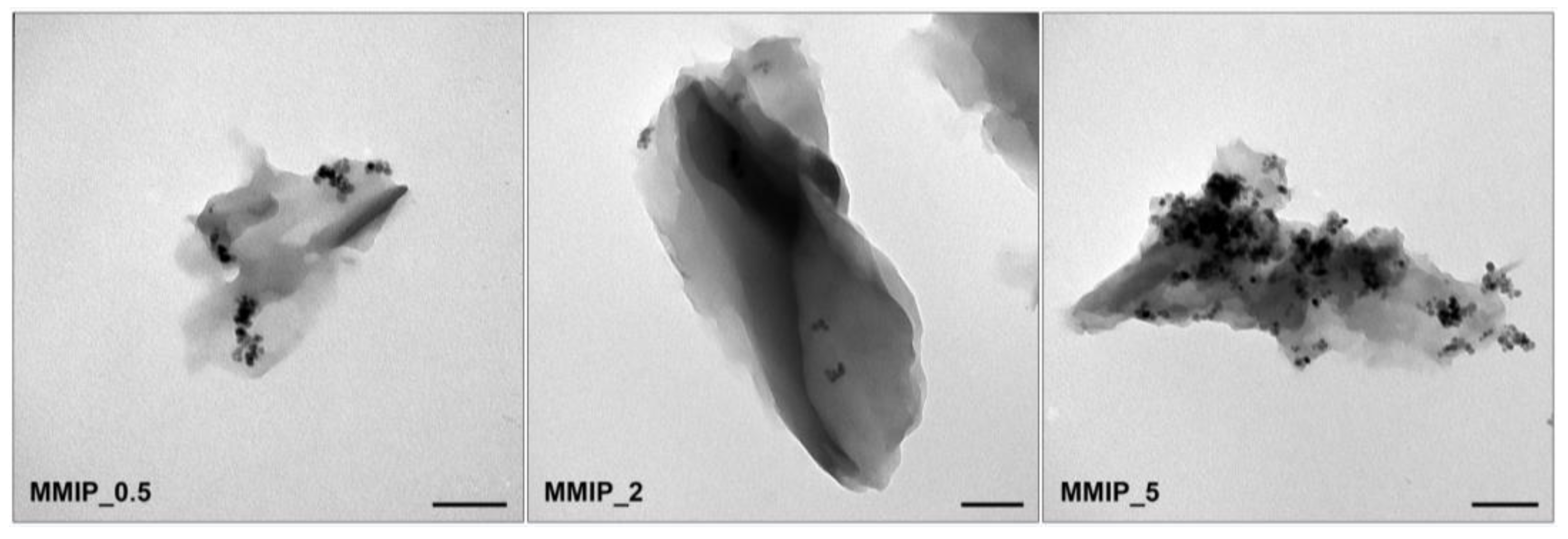 Magnetochemistry 09 00196 g005 Magnetochemistry 09 00196 g005
