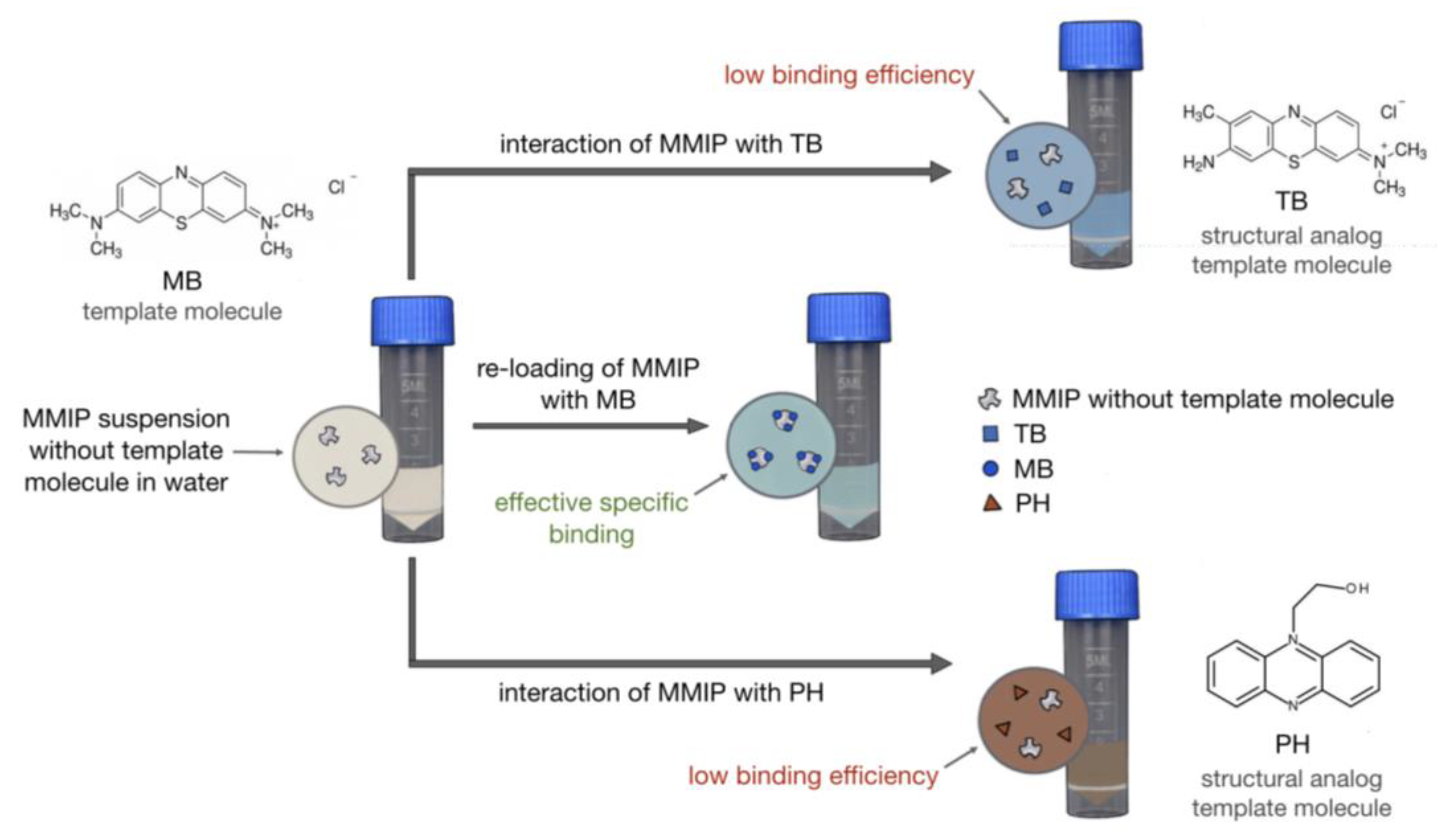 Magnetochemistry 09 00196 g013 Magnetochemistry 09 00196 g013