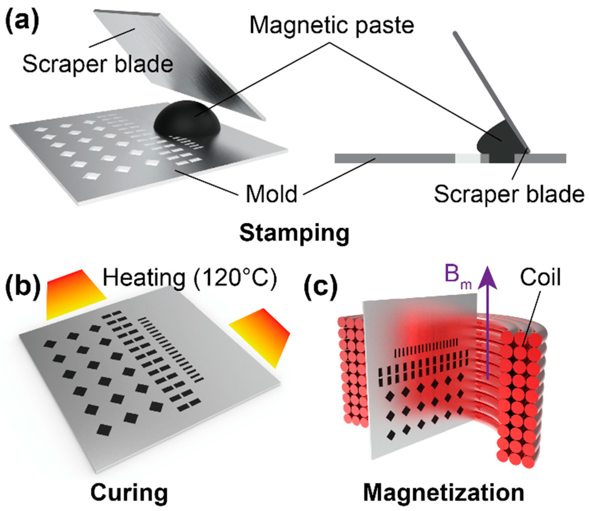 Magnetochemistry 10 00006 g004