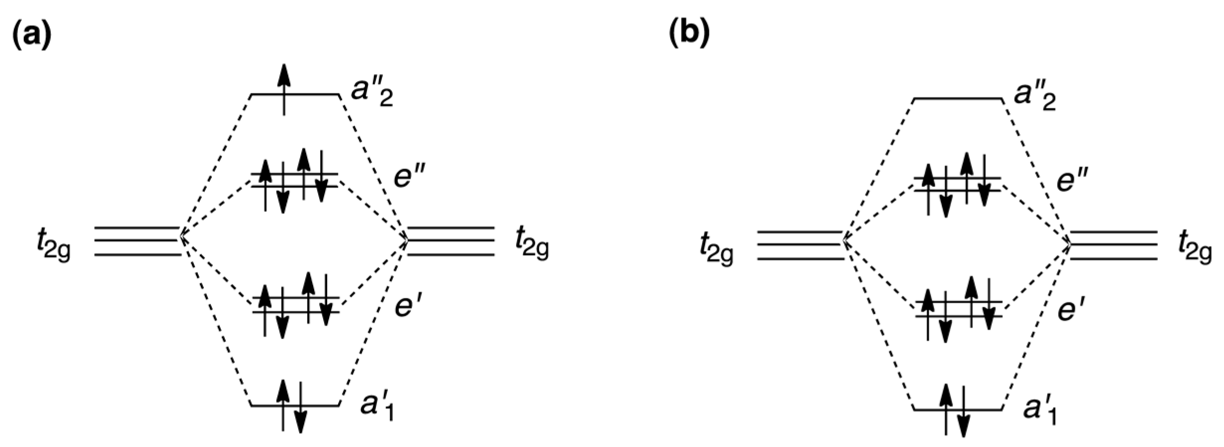 Magnetochemistry 10 00016 sch004