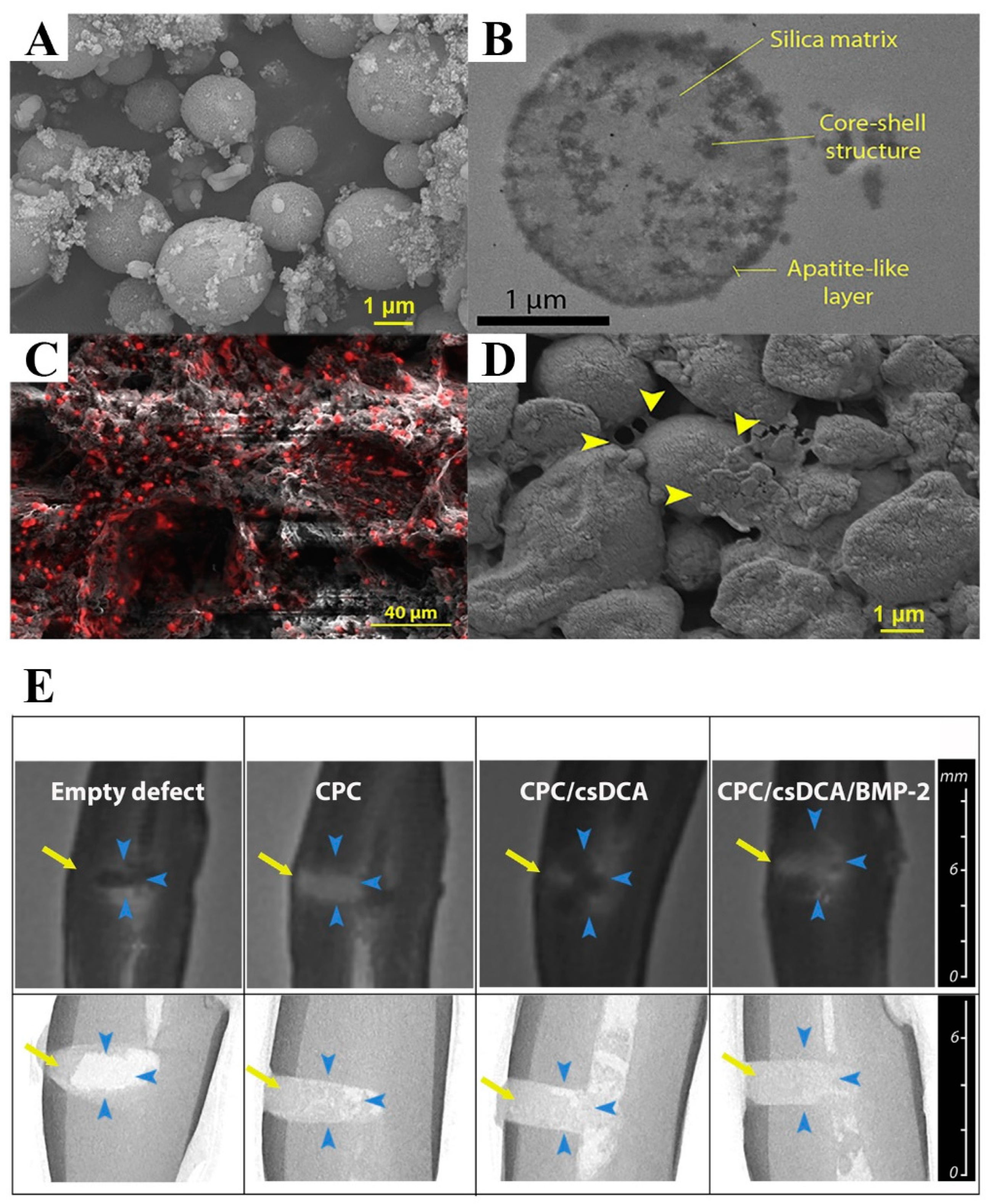 Magnetochemistry 10 00046 g008