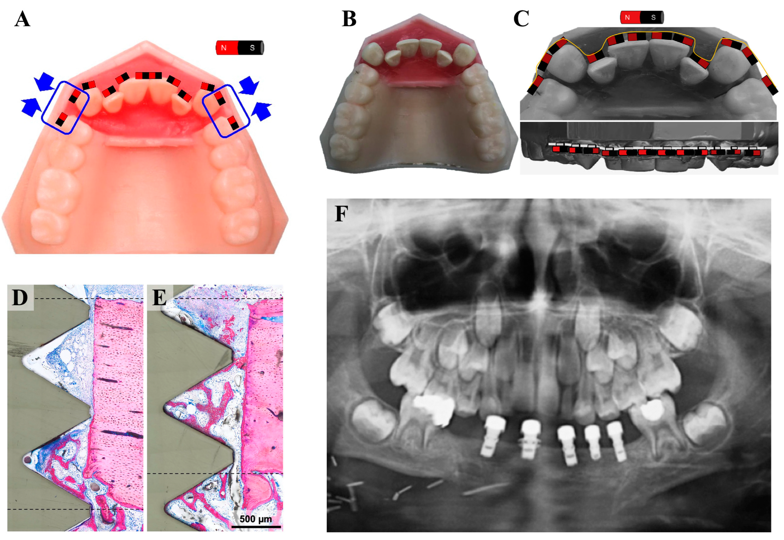 Magnetochemistry 10 00046 g012