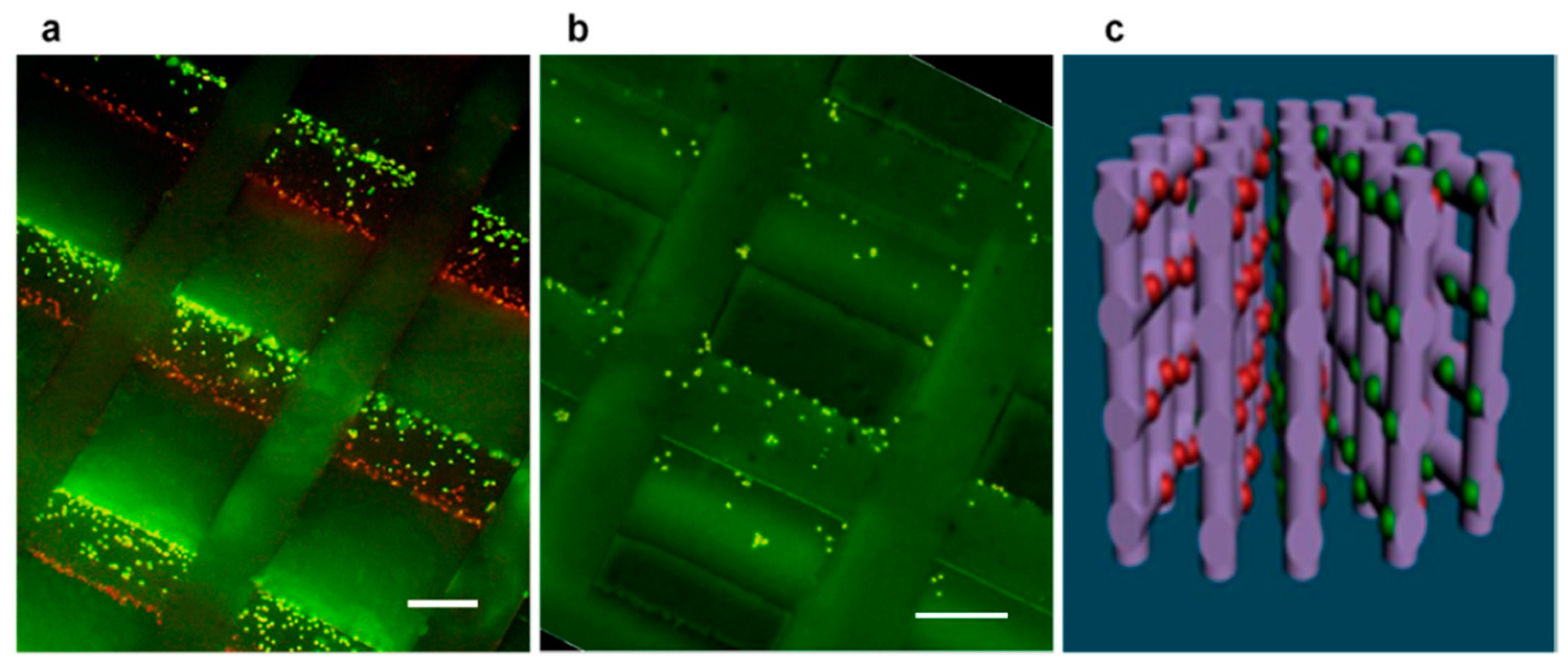 Magnetochemistry 10 00052 g003