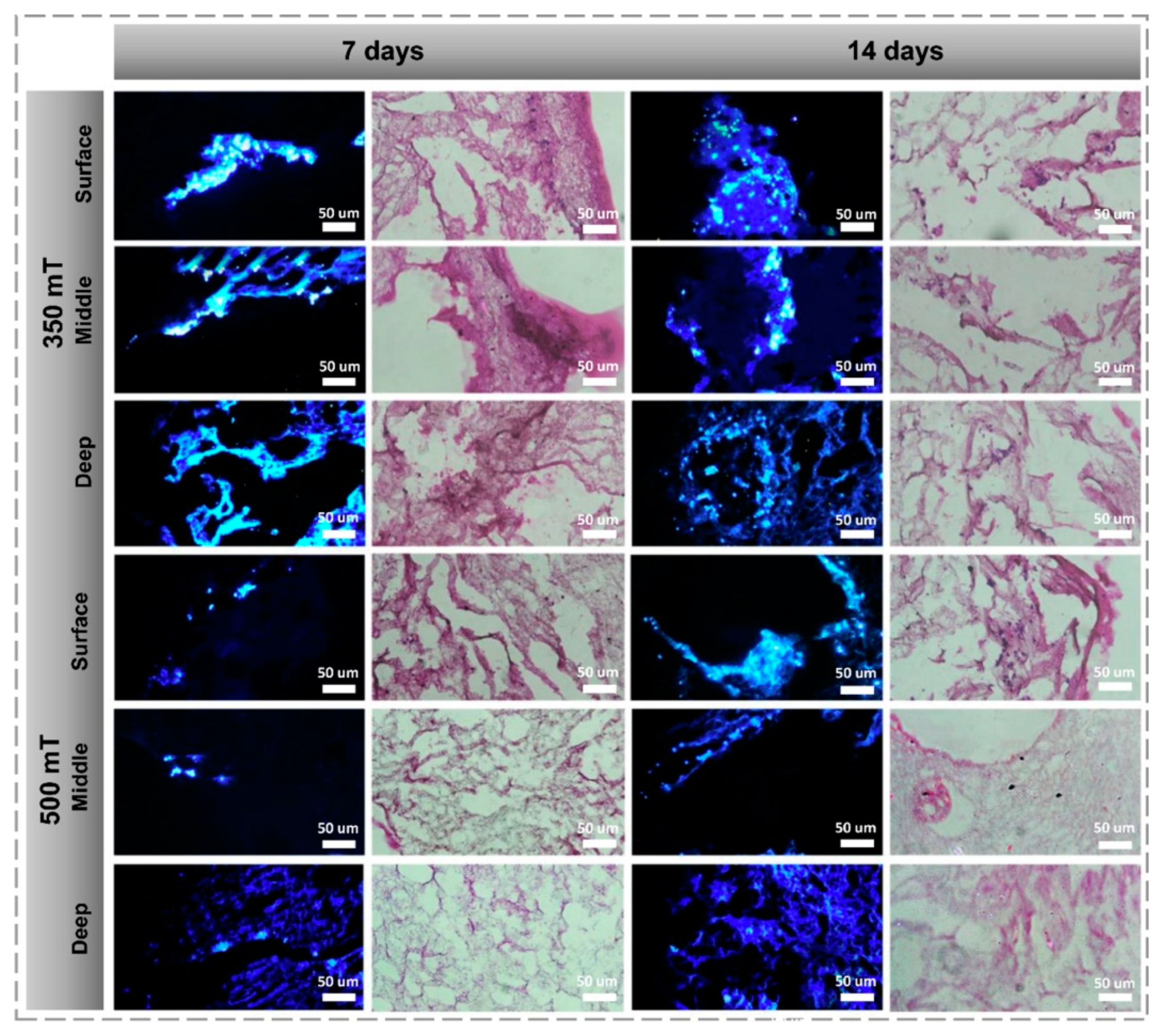 Magnetochemistry 10 00052 g004
