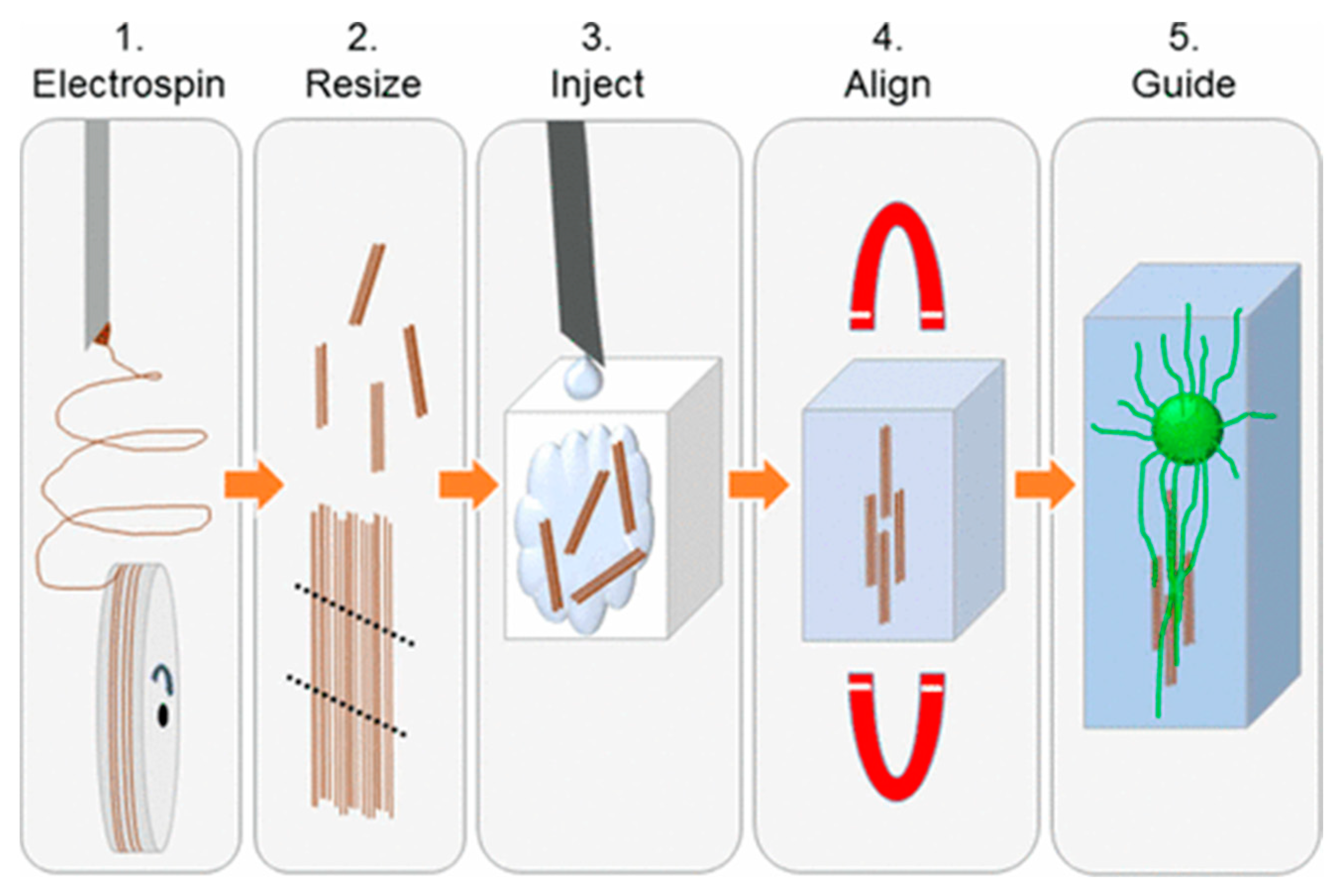 Magnetochemistry 10 00052 g008