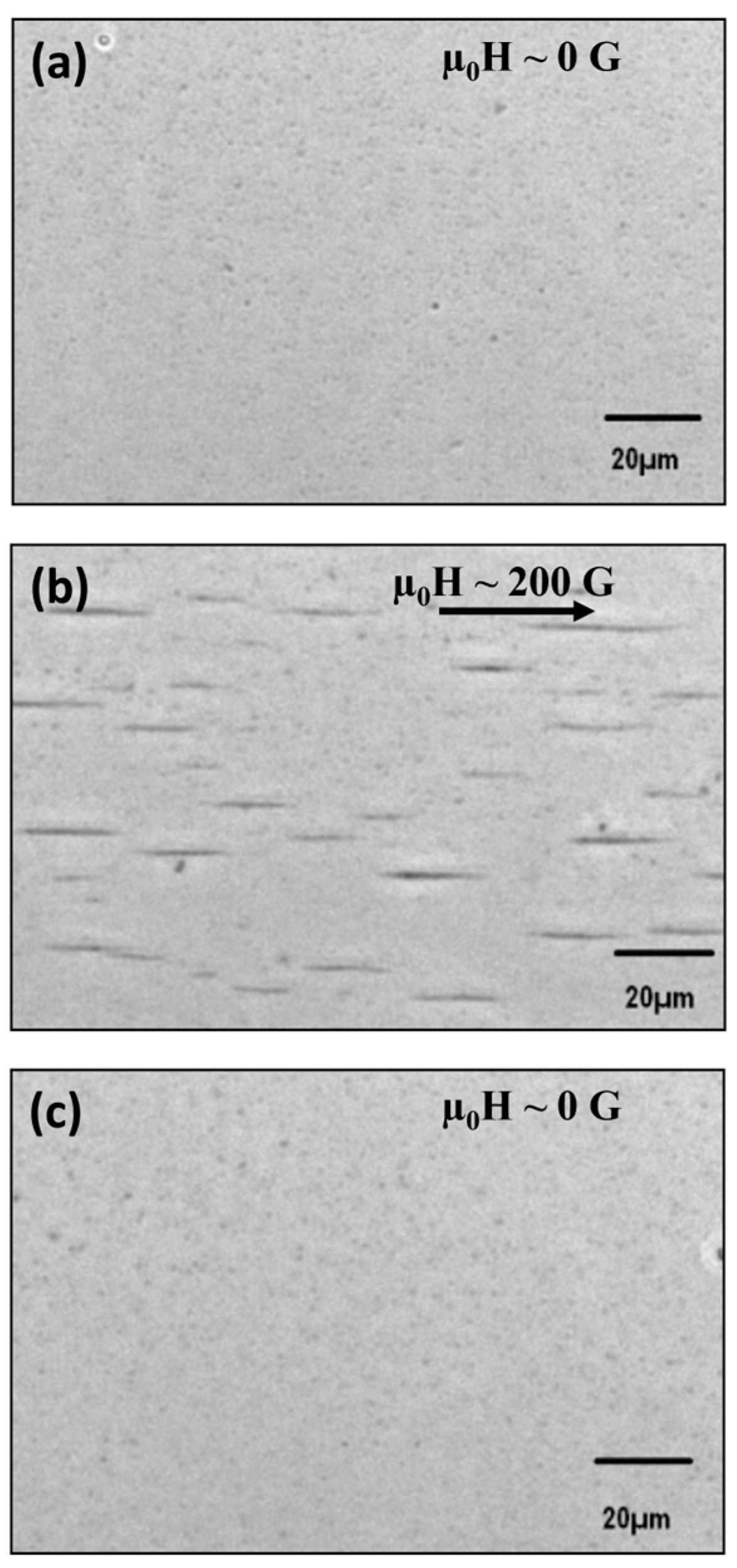 Magnetochemistry 11 00024 g006
