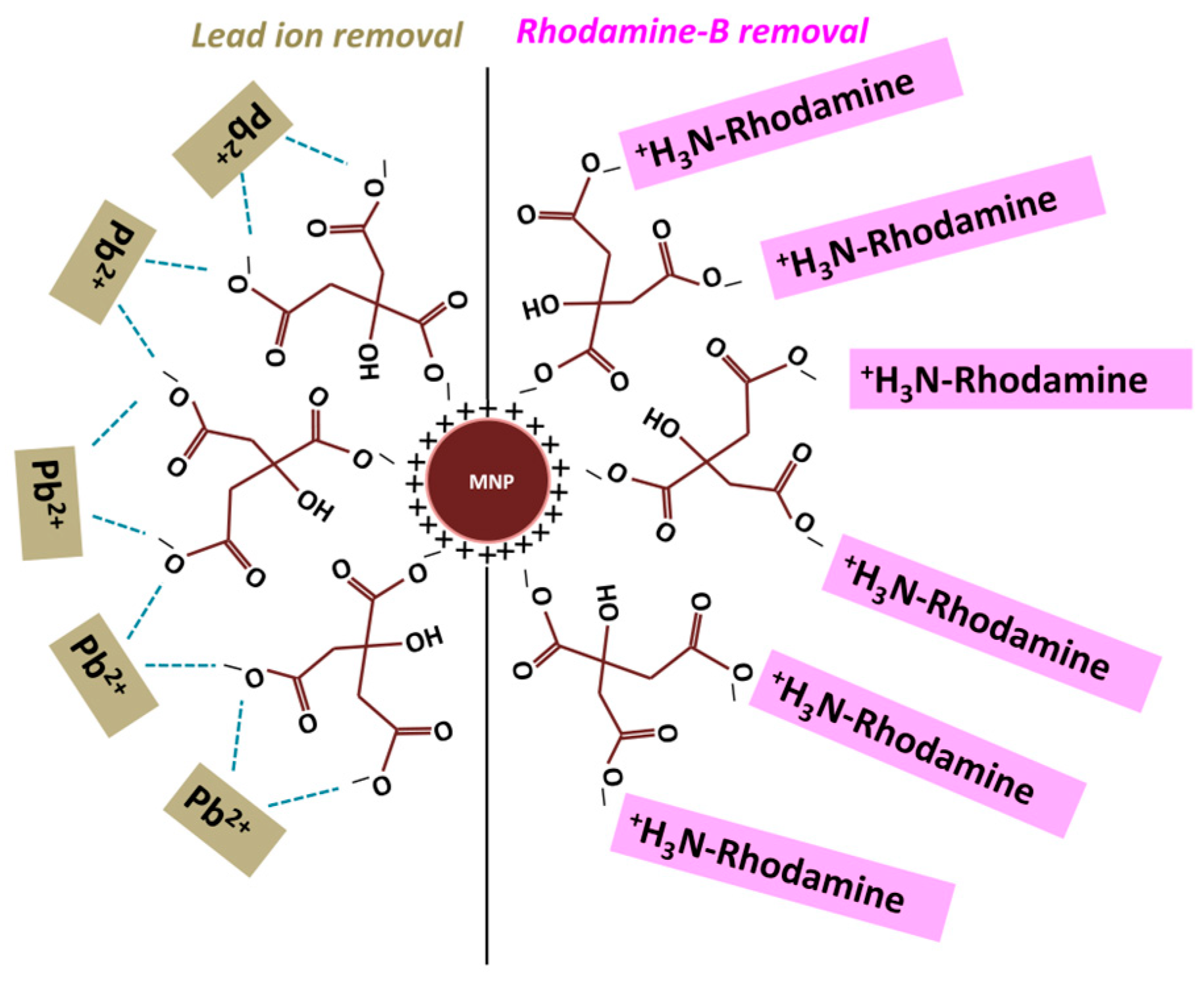 Magnetochemistry 11 00024 g008