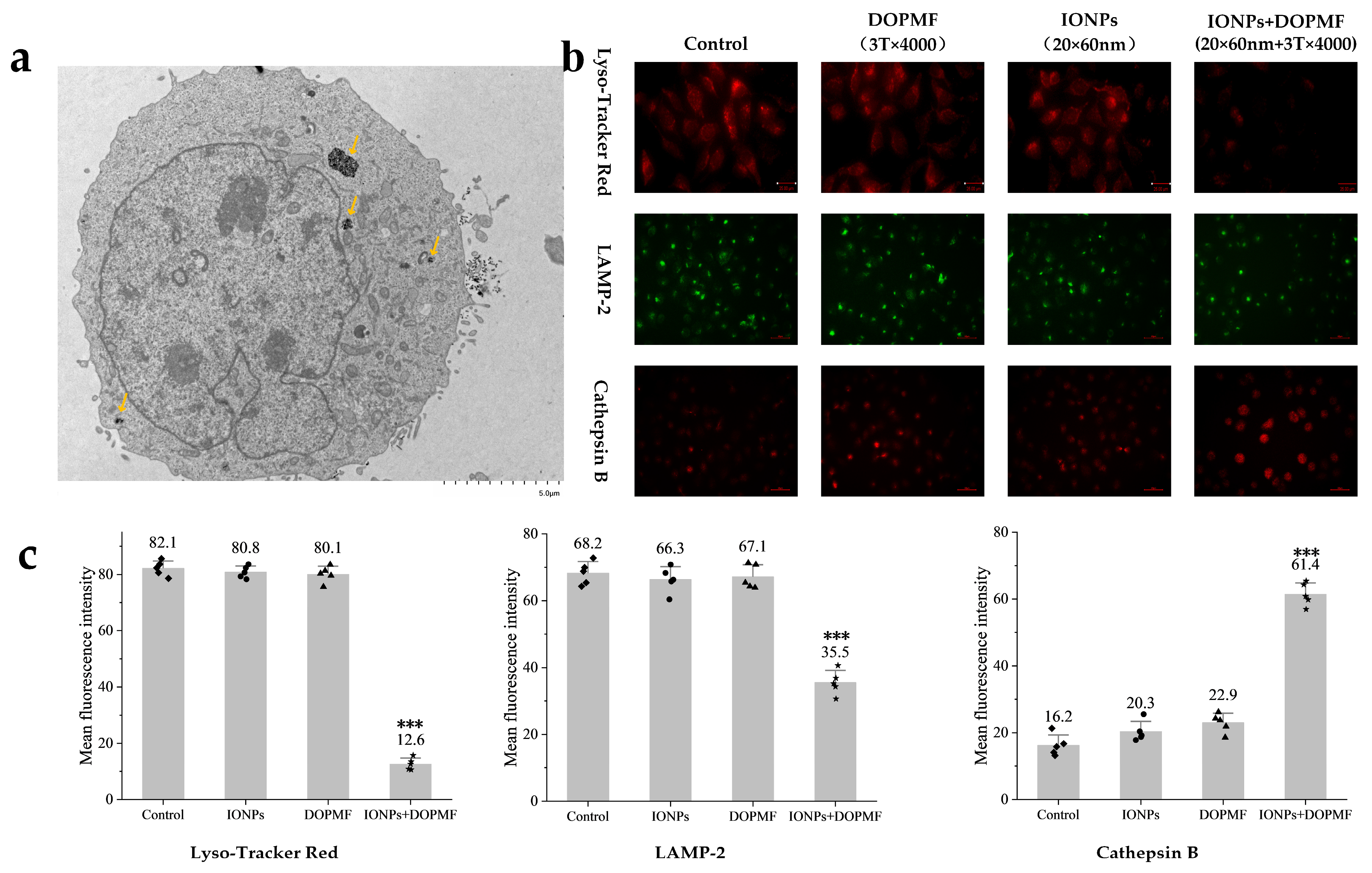 Magnetochemistry 11 00033 g004