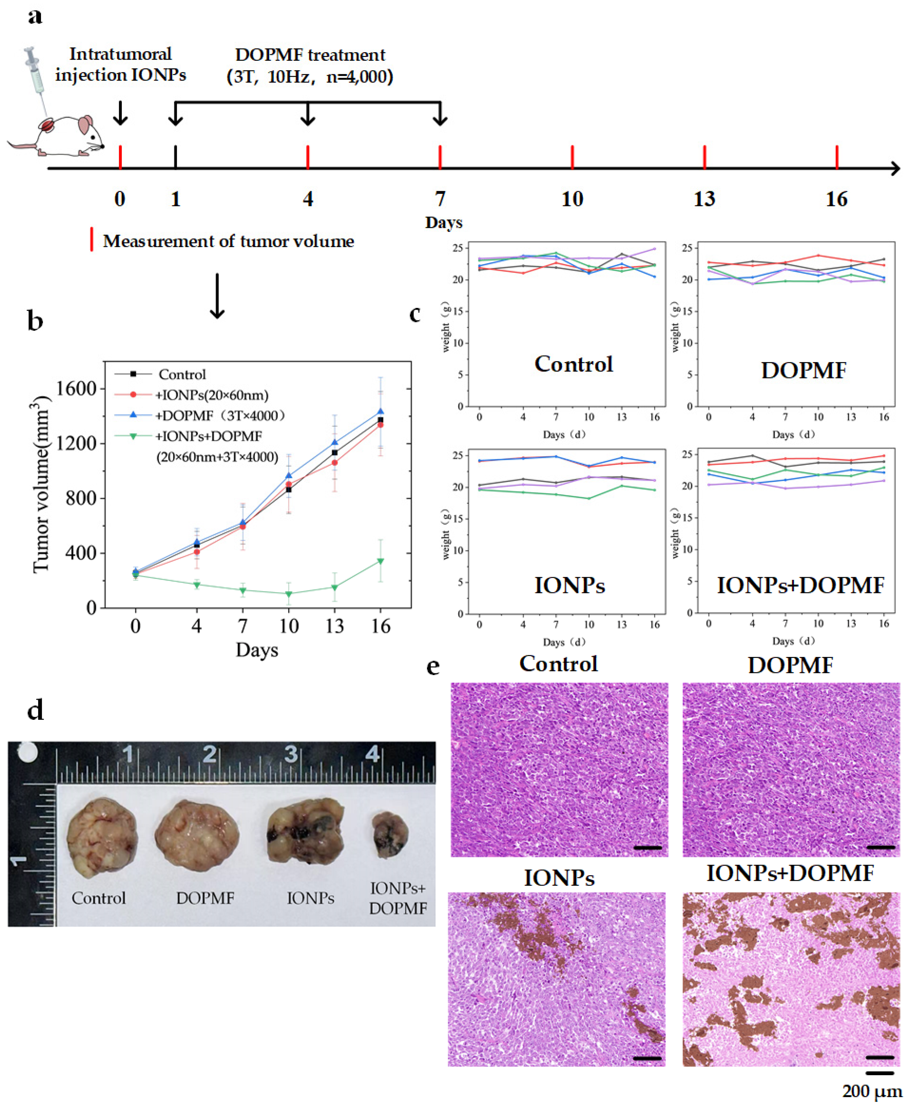 Magnetochemistry 11 00033 g005