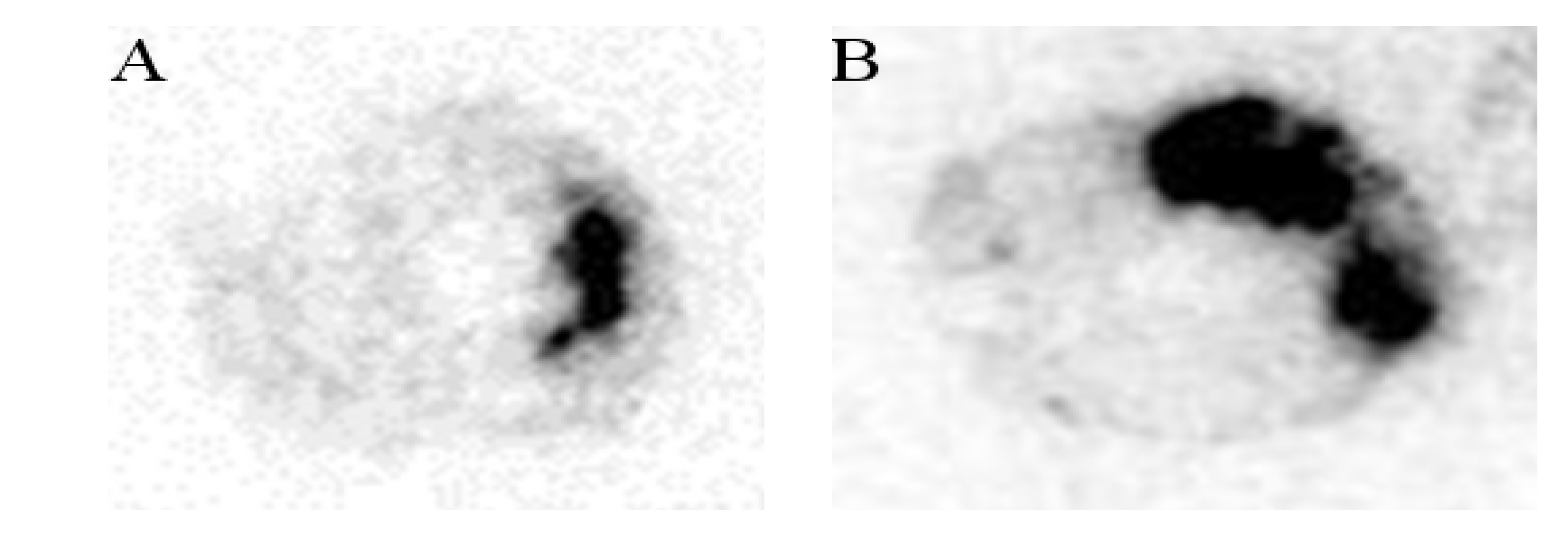 Marinedrugs 12 04851 g007