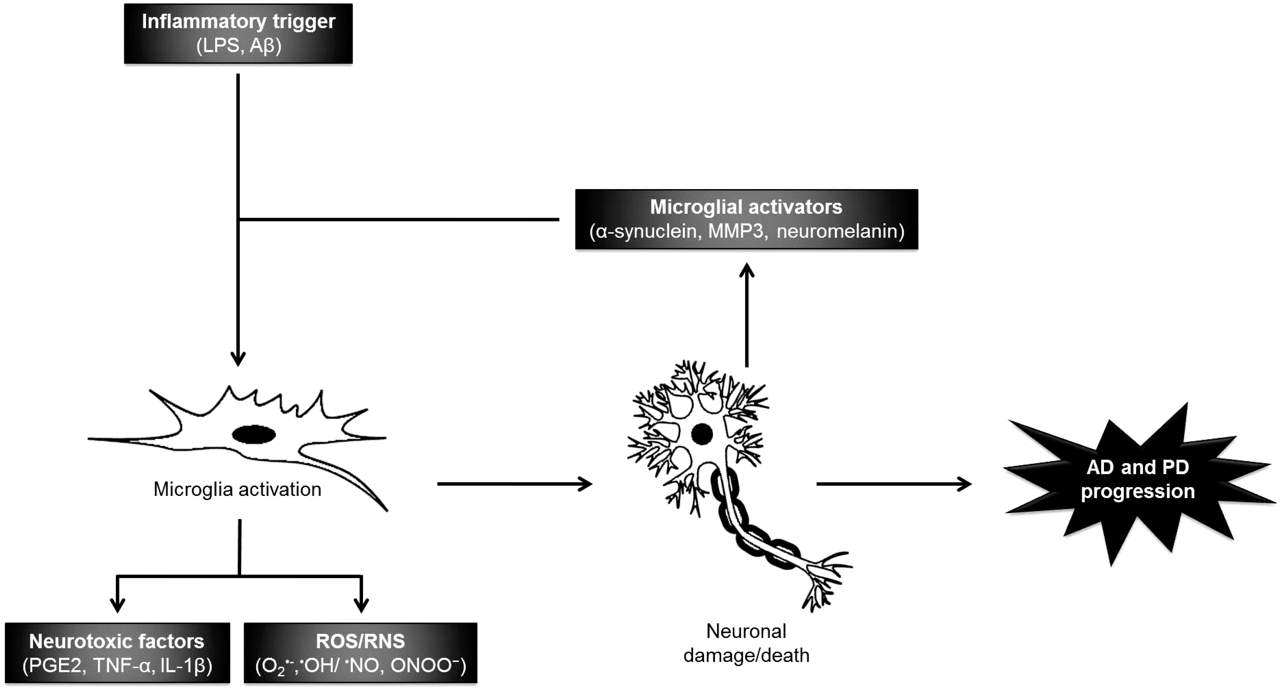 Marine Drugs | Free Full-Text | Bioactive Compounds from Macroalgae in the  New Millennium: Implications for Neurodegenerative Diseases