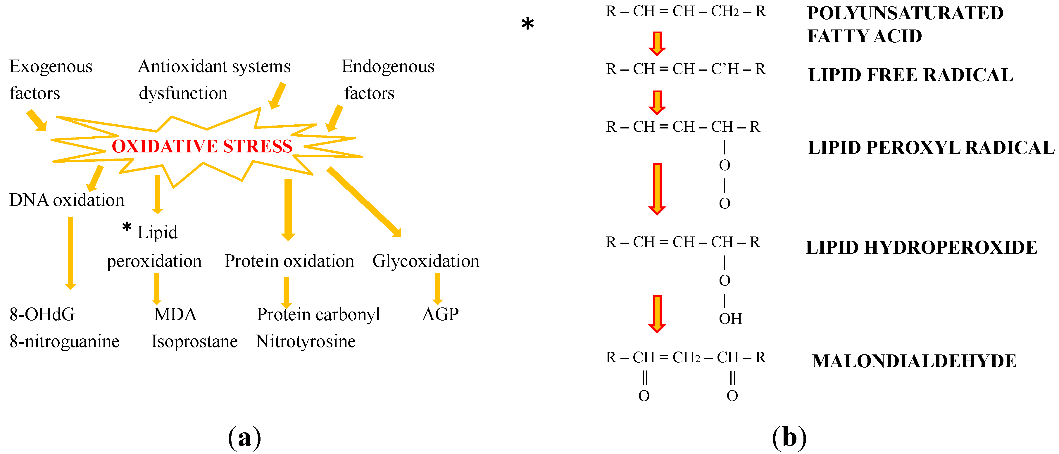 Стресс и липиды. Oxidative stress and antioxidants. Биомаркеры это в окислительном стрессе. Antioxidants as oxidative stress biomarkers. Stages of Heme oxidation.