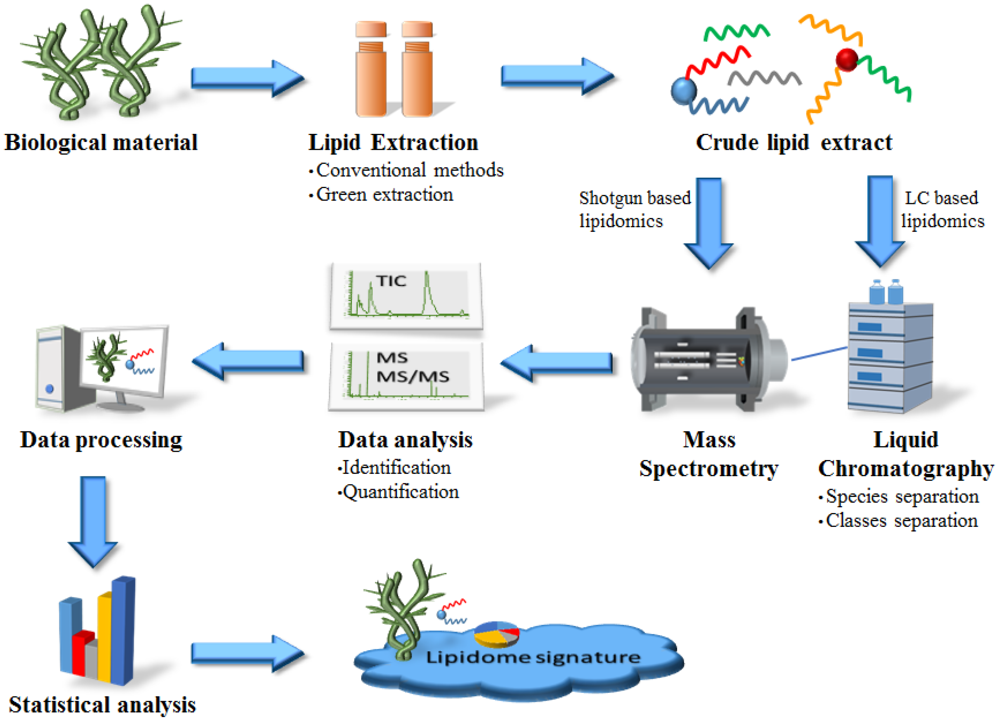 Extraction method. Marine drugs. Tandem Mass Spectrometry. Виды липидомики.