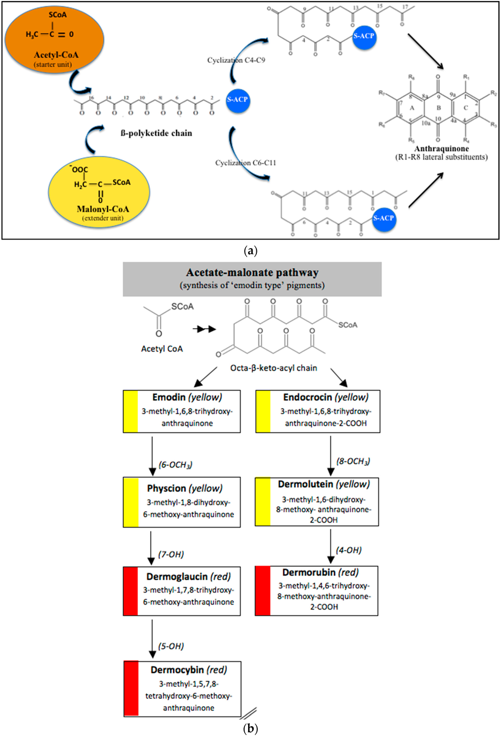 Marine Drugs Free Full Text Anthraquinones And Derivatives From Marine Derived Fungi Structural Diversity And Selected Biological Activities Html