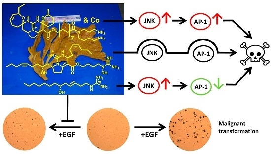 Marine Drugs Free Full Text Guanidine Alkaloids From The Marine Sponge Monanchora Pulchra Show Cytotoxic Properties And Prevent Egf Induced Neoplastic Transformation In Vitro Html
