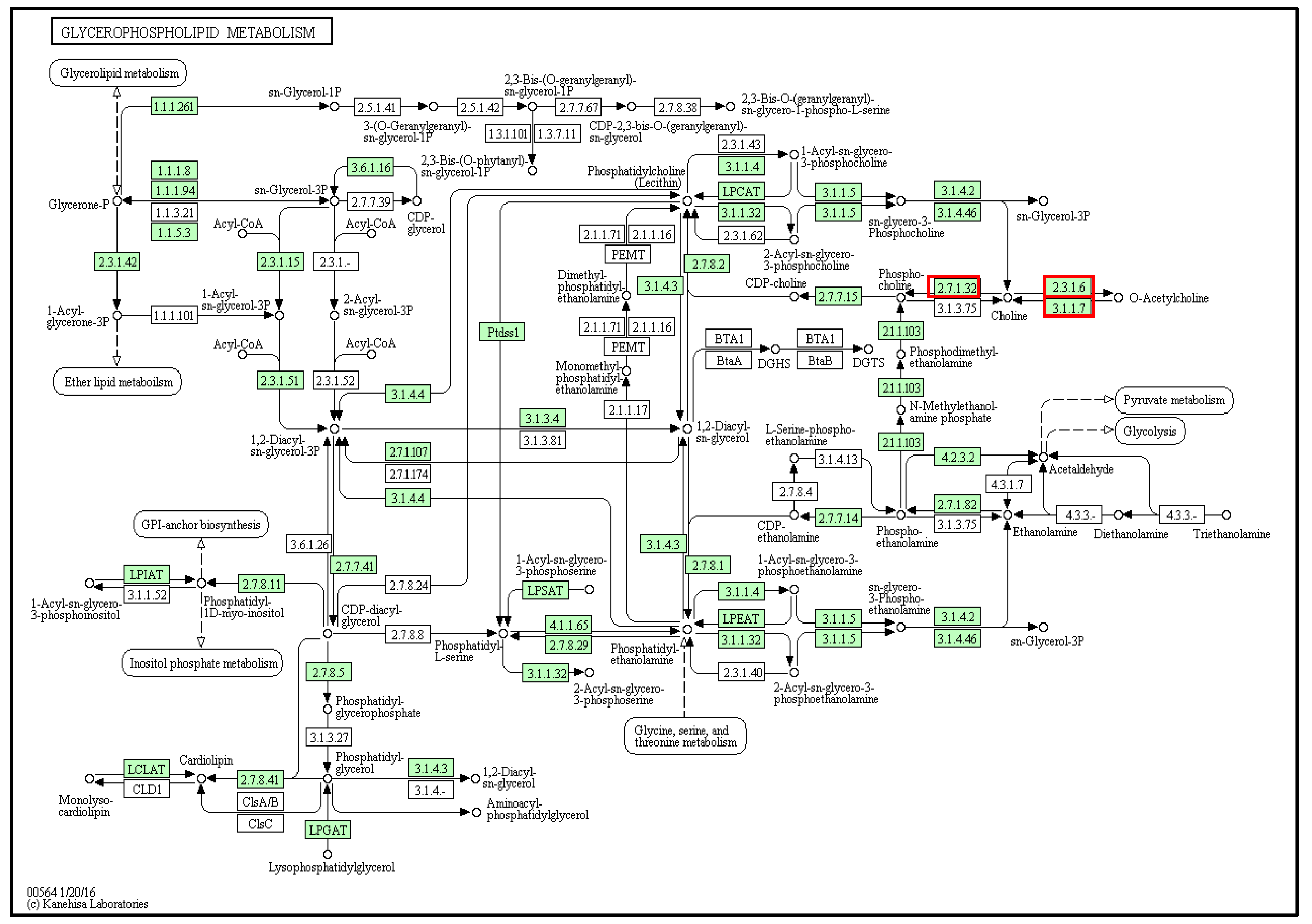 Marinedrugs 14 00135 g007