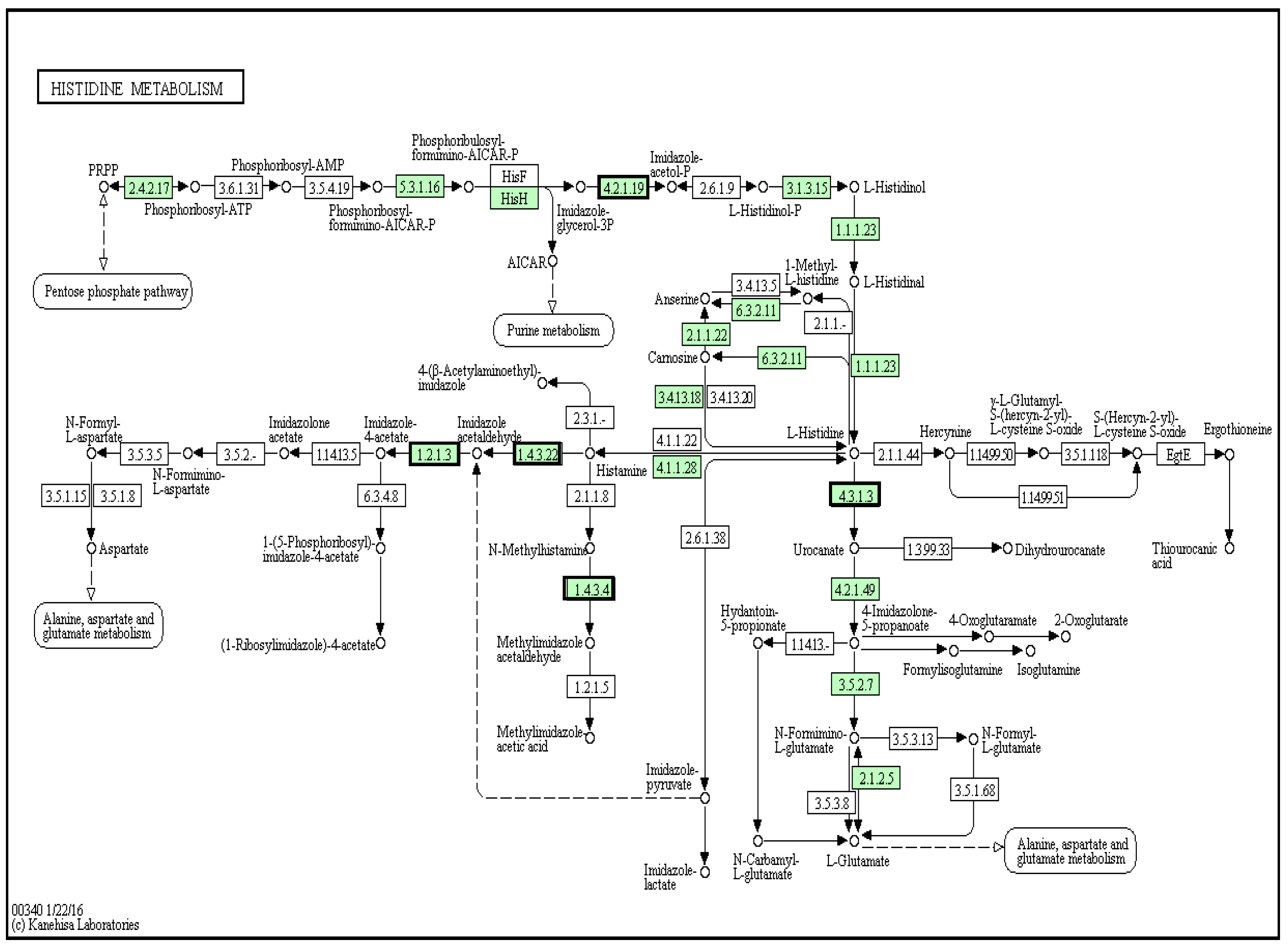 Marinedrugs 14 00135 g008