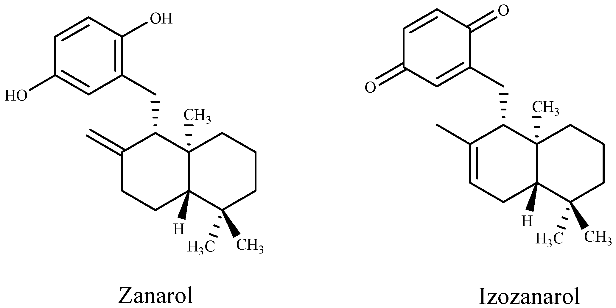 Alga Kombu Biologica in Foglie – ConsonniBioalghe