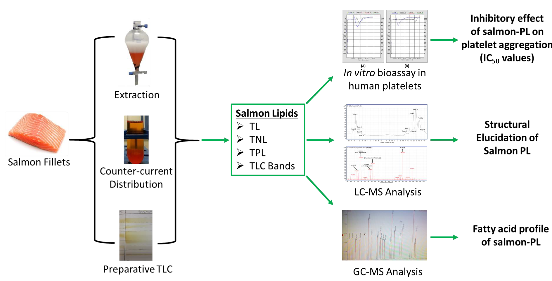 Marine Drugs | Free Full-Text | Structural Elucidation of Irish Organic  Farmed Salmon (Salmo salar) Polar Lipids with Antithrombotic Activities |  HTML