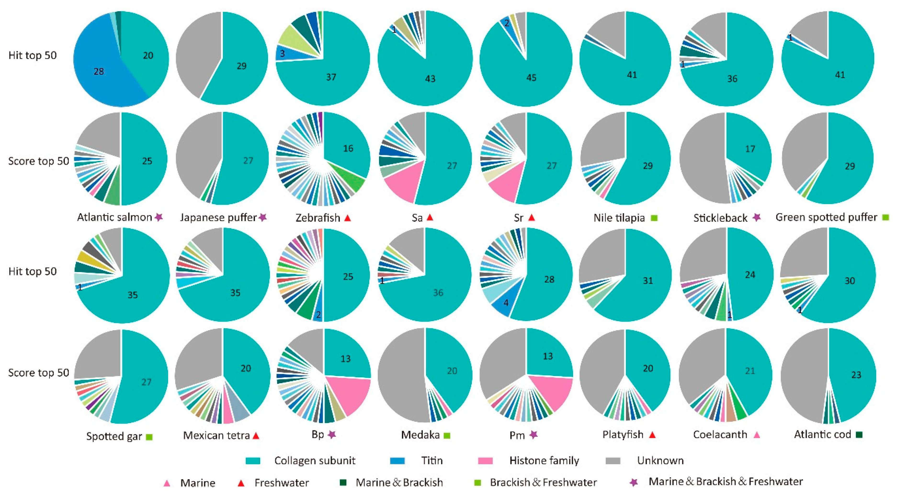 Marinedrugs 16 00365 g004 Marinedrugs 16 00365 g004