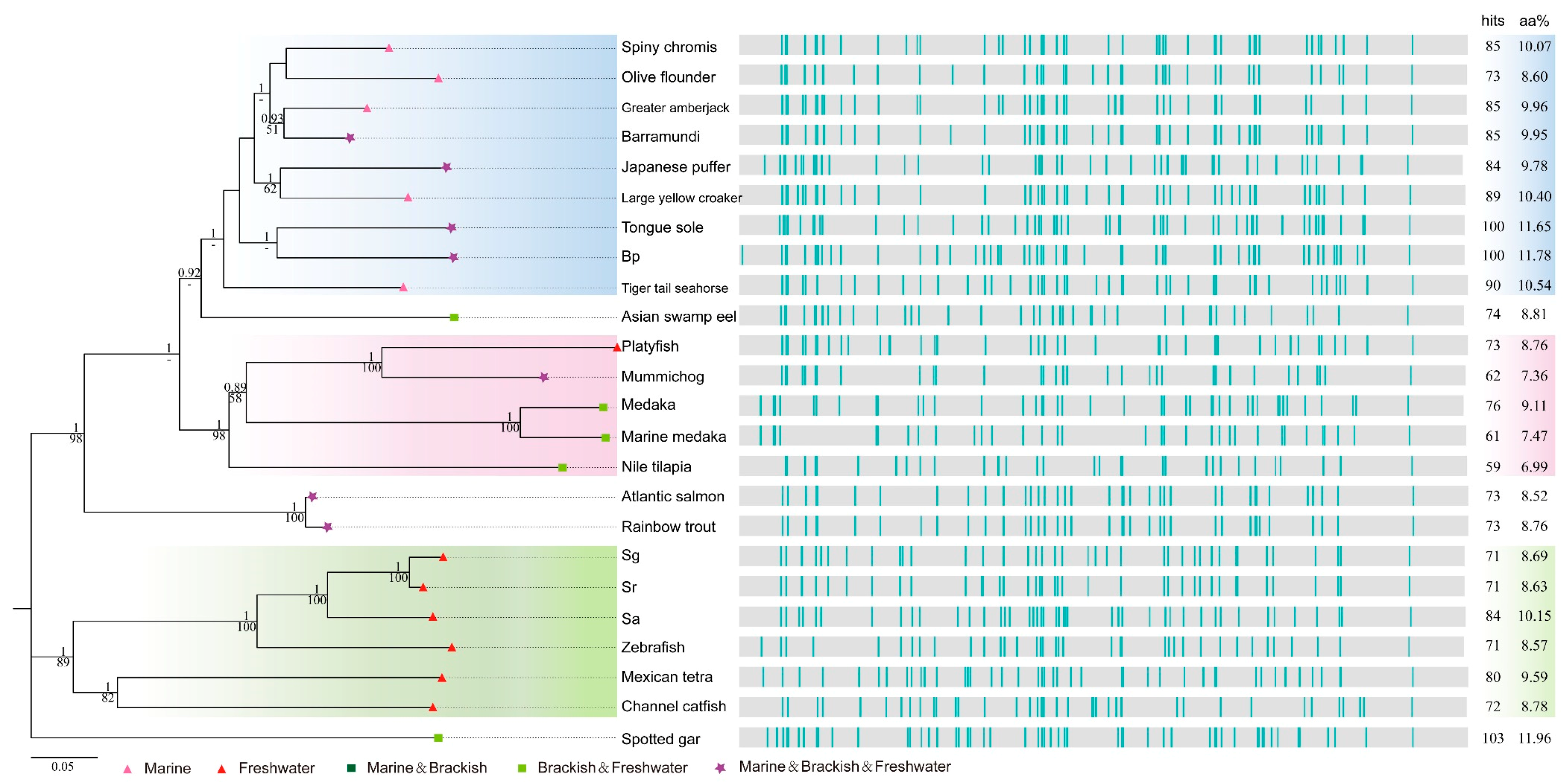 Marinedrugs 16 00365 g005 Marinedrugs 16 00365 g005