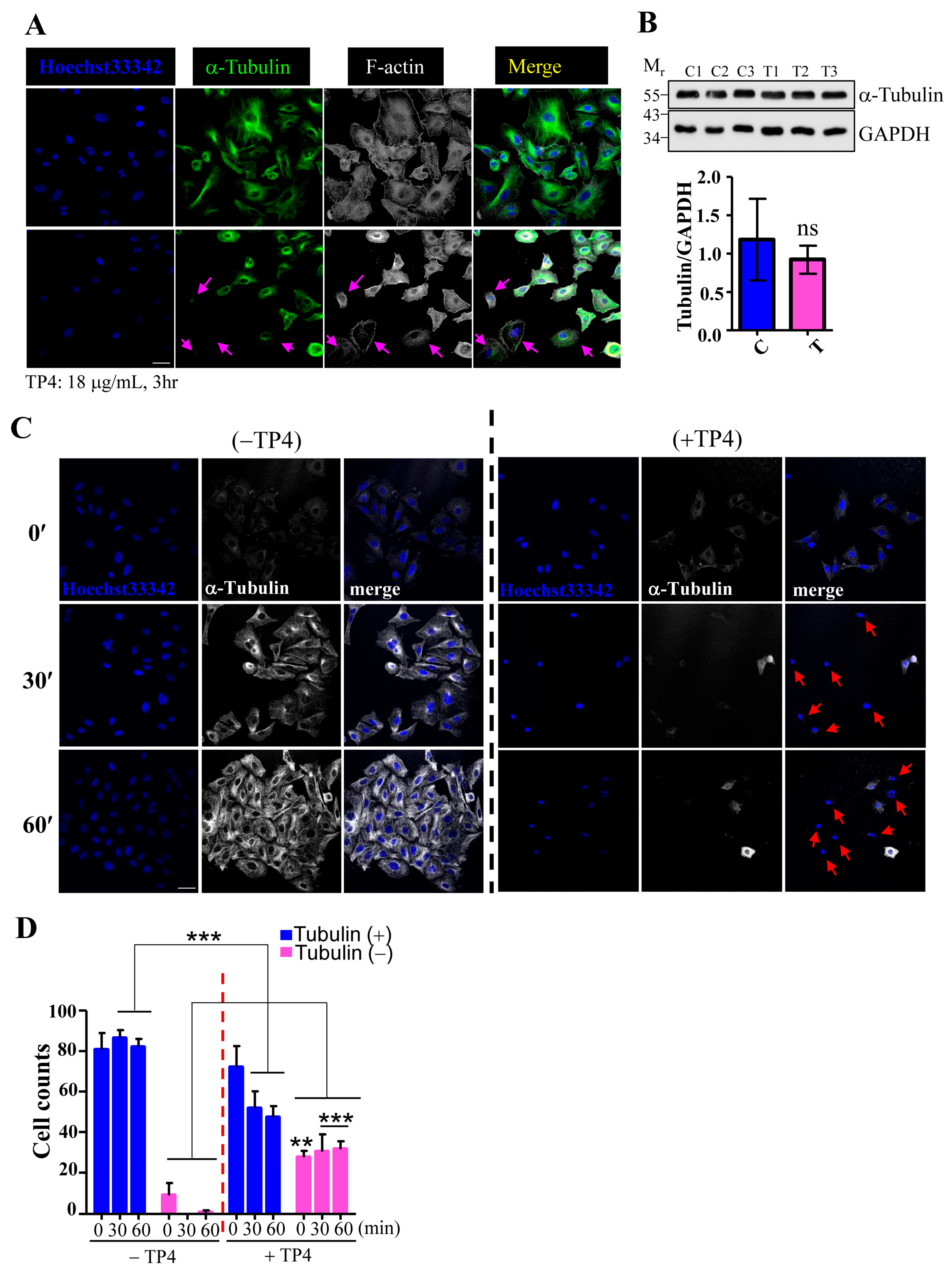 Marinedrugs 16 00462 g002