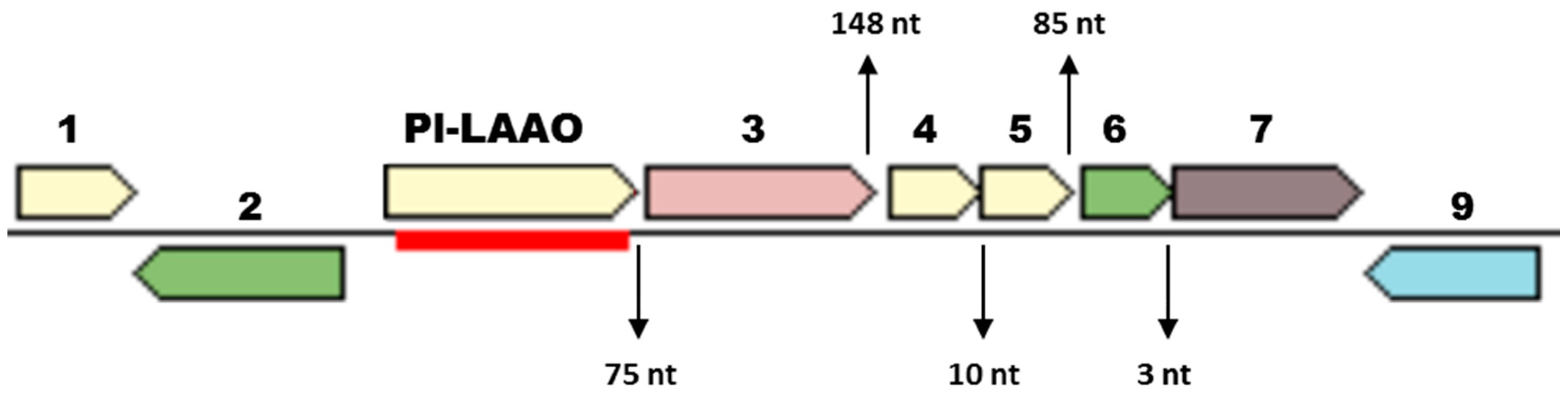 Marinedrugs 16 00499 g008