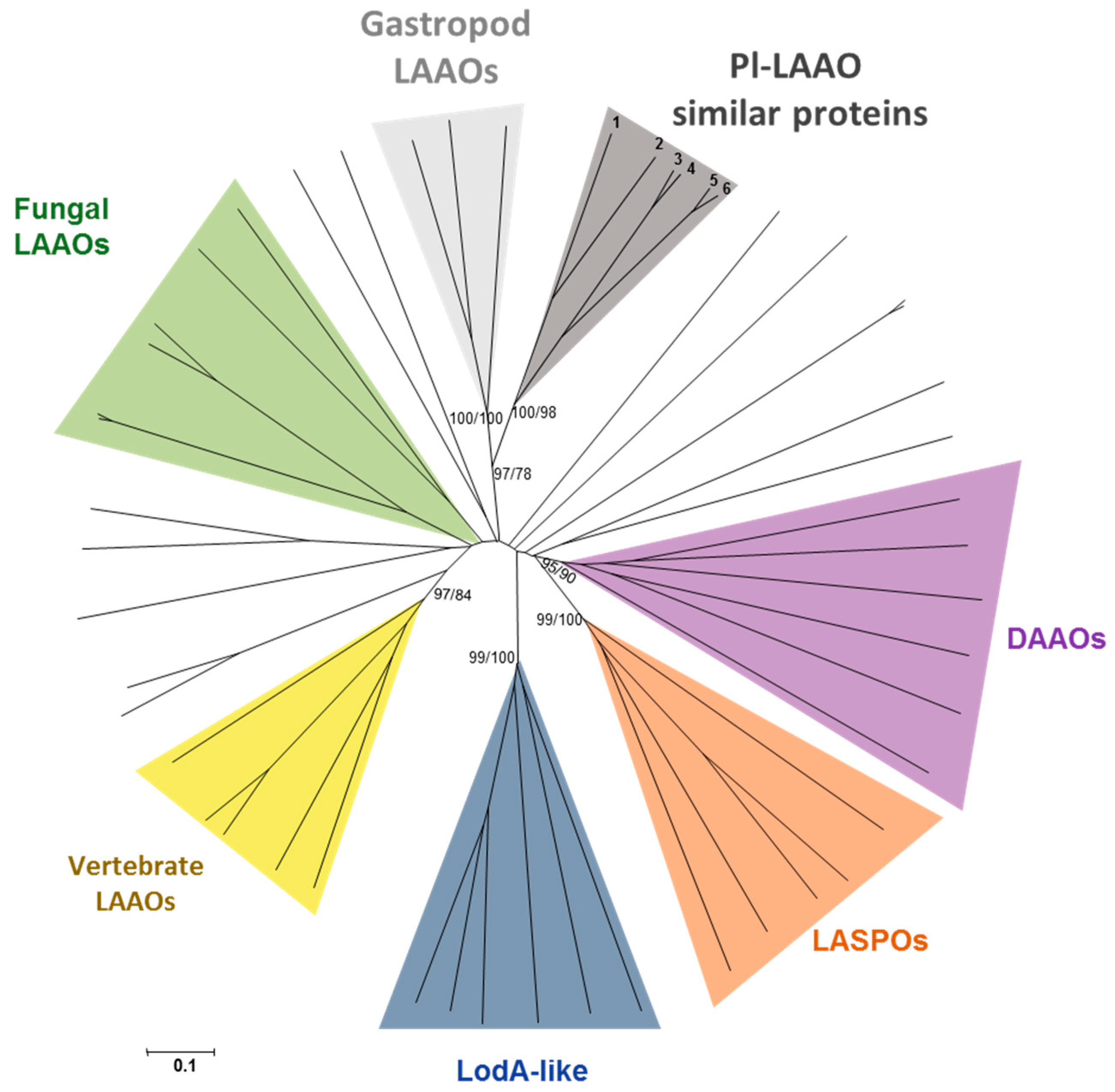 Marinedrugs 16 00499 g009