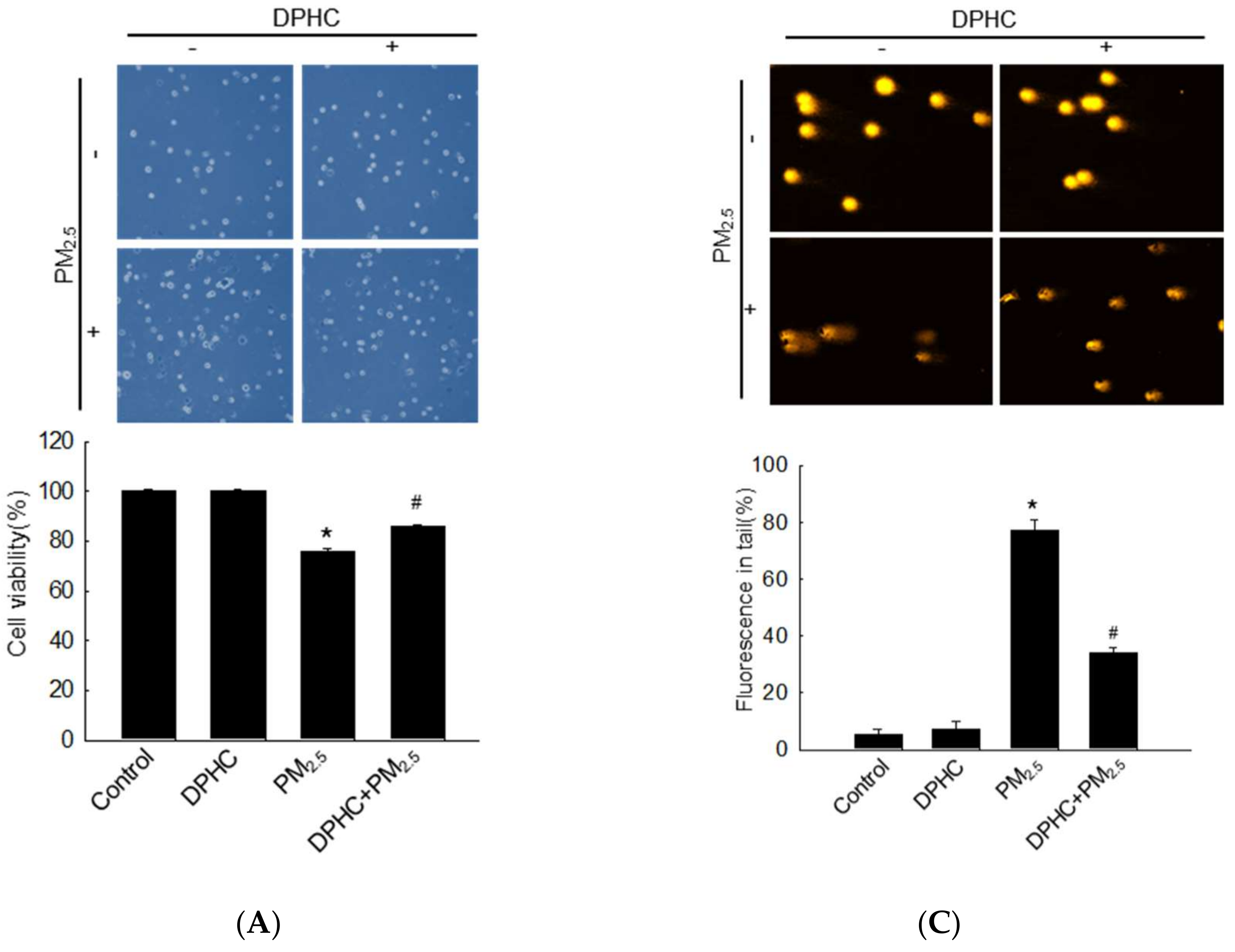 Marinedrugs 17 00095 g002a