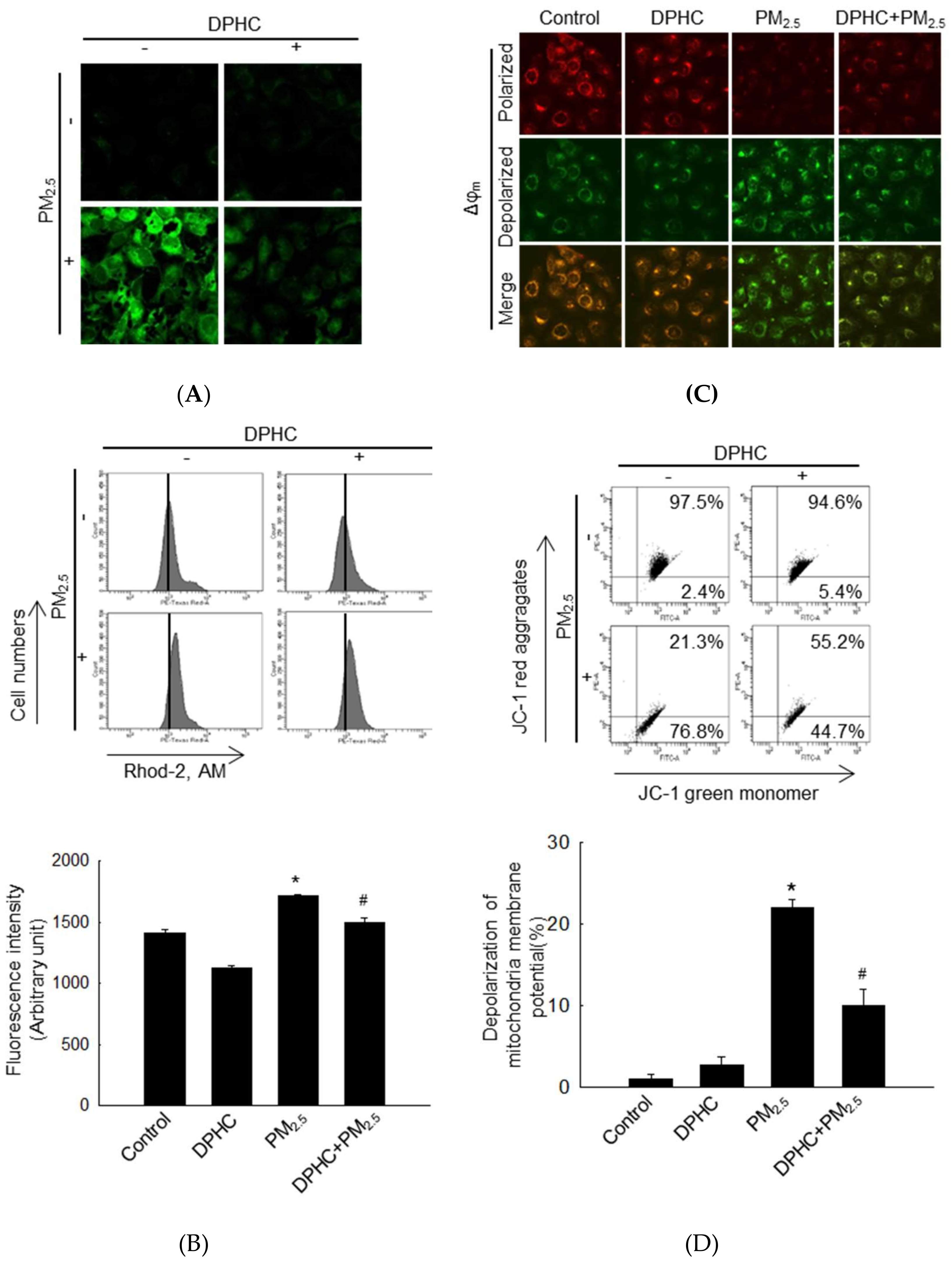 Marinedrugs 17 00095 g004a