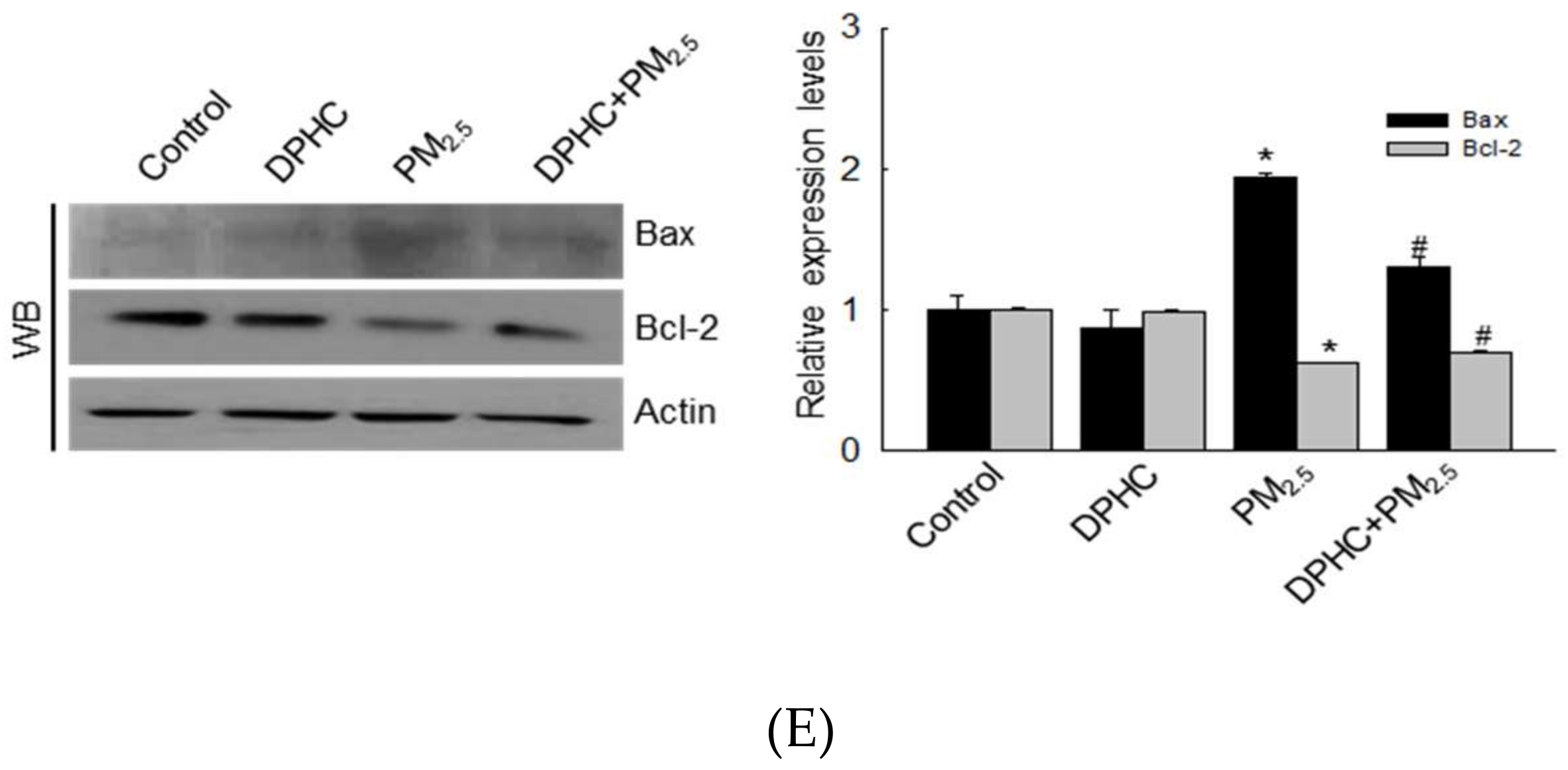 Marinedrugs 17 00095 g004b