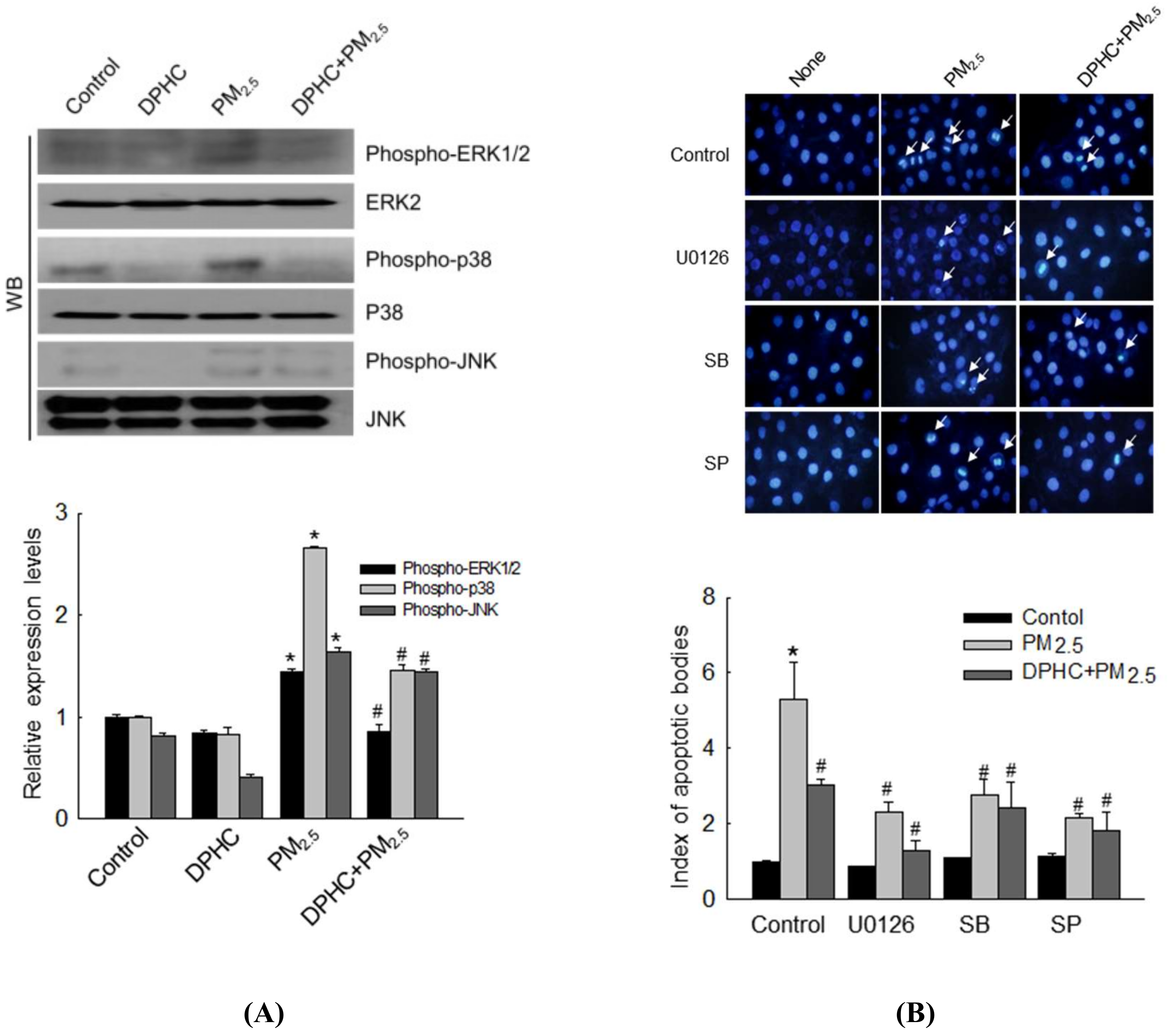 Marinedrugs 17 00095 g006