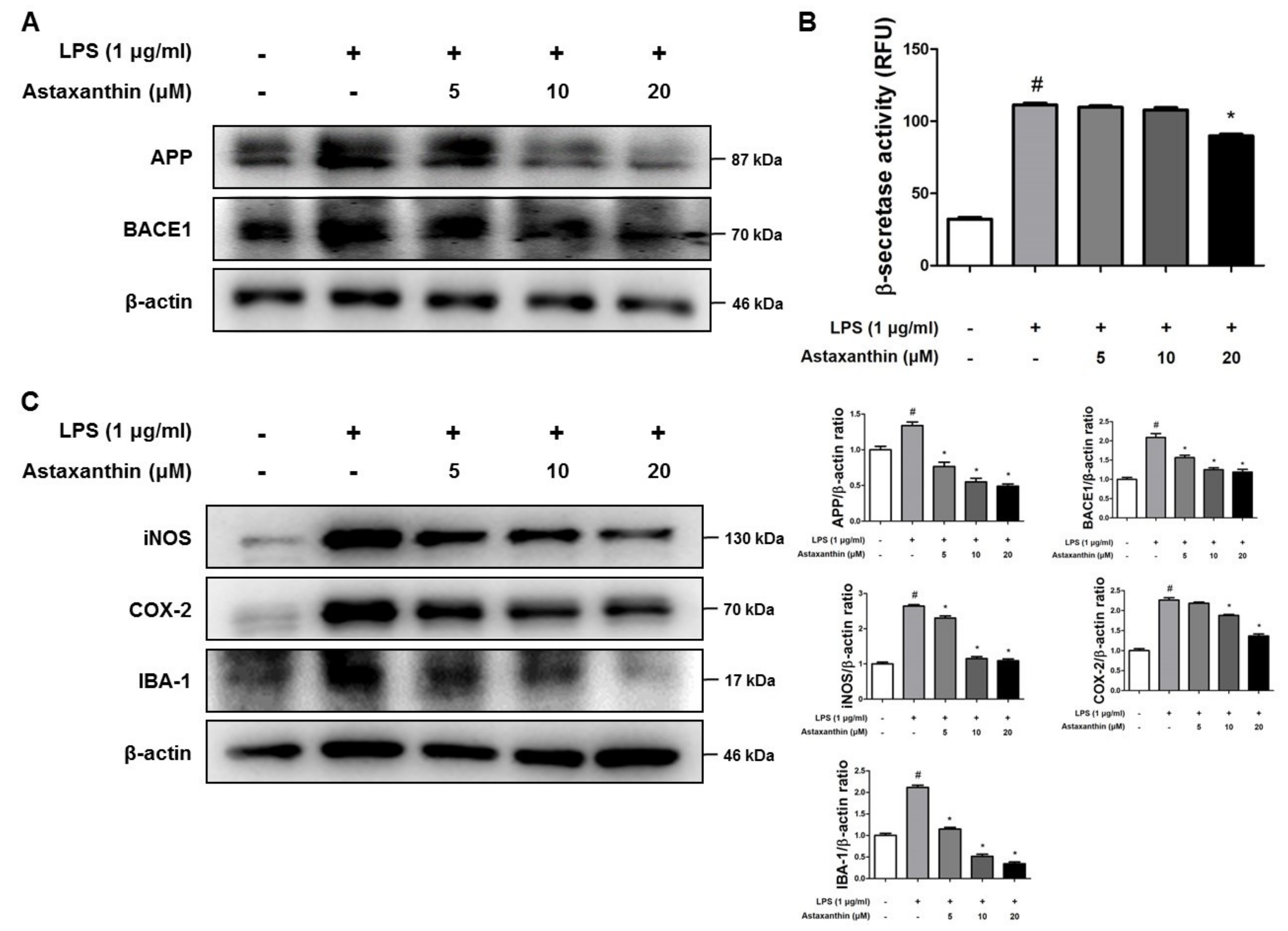 Marinedrugs 17 00123 g005